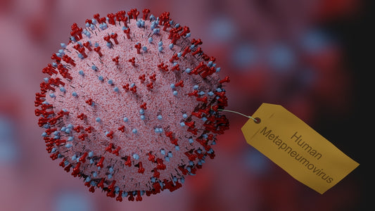 Understanding the Human Metapneumovirus (hMPV): Symptoms, Transmission, and Prevention