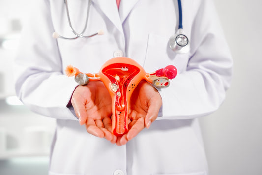 A Comprehensive Guide to Gynecology: Understanding Women’s Health