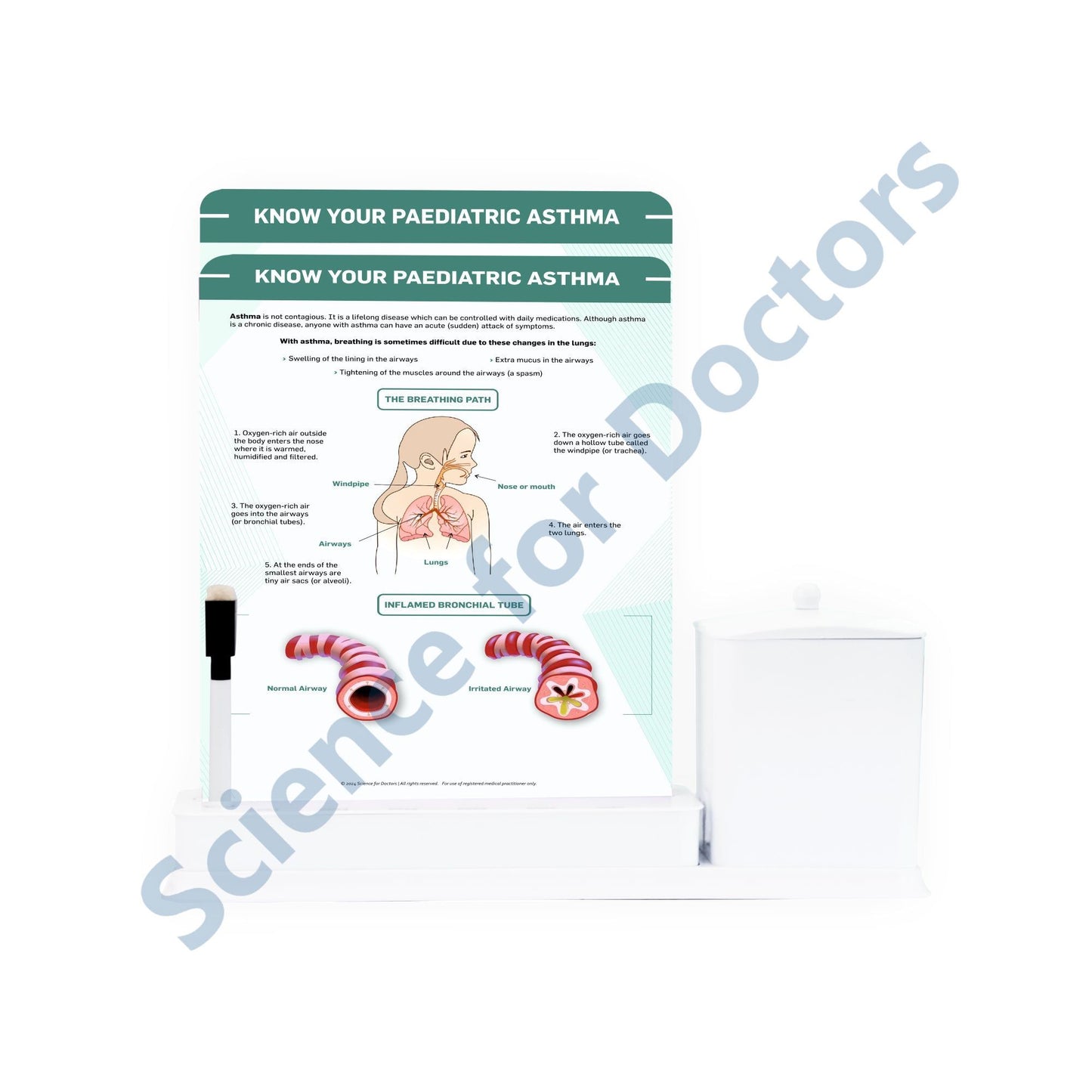 Know your Pediatric Asthma: 2 Slide Write Wipe With Utility Container
