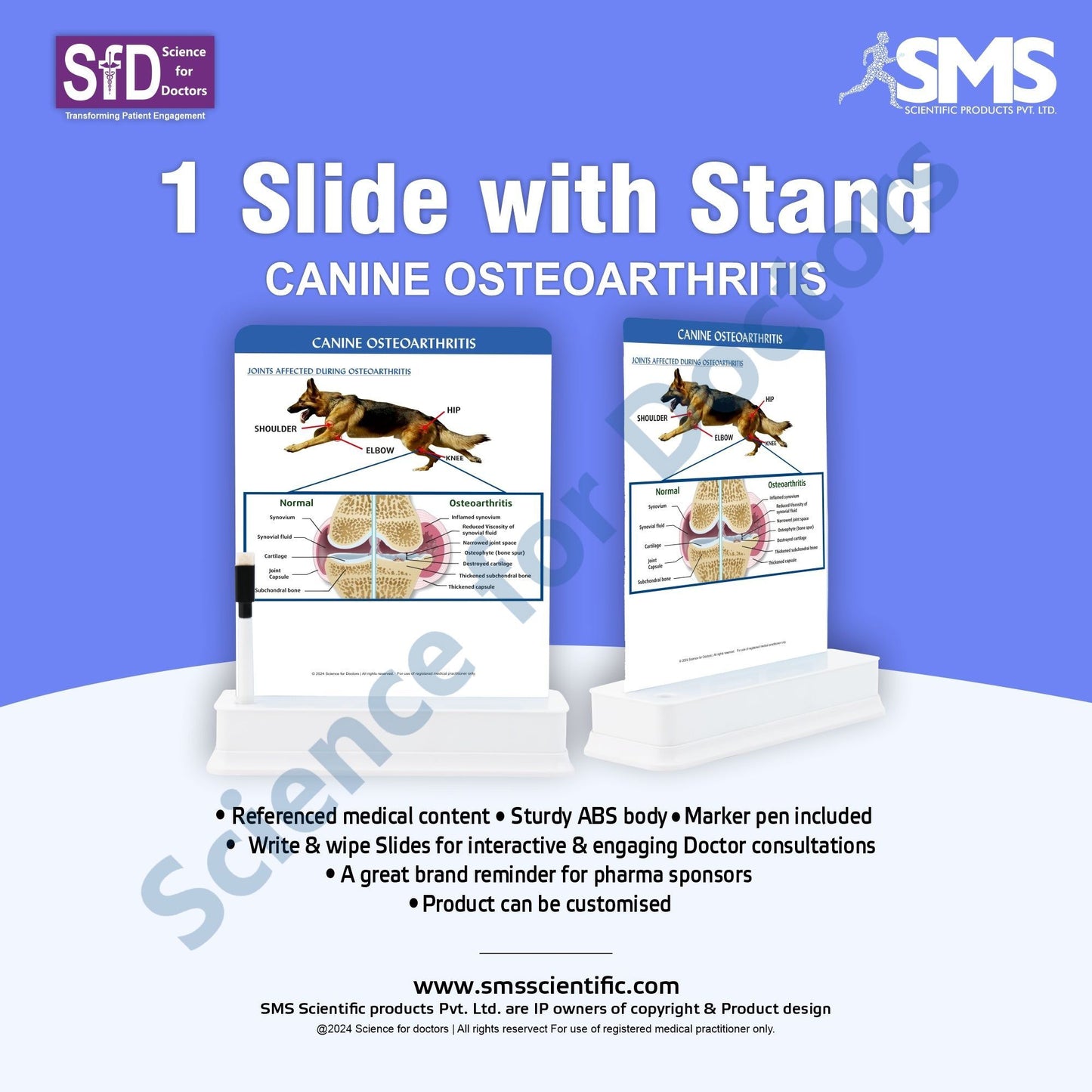 Canine Osteoarthritis: 1 Slide on stand