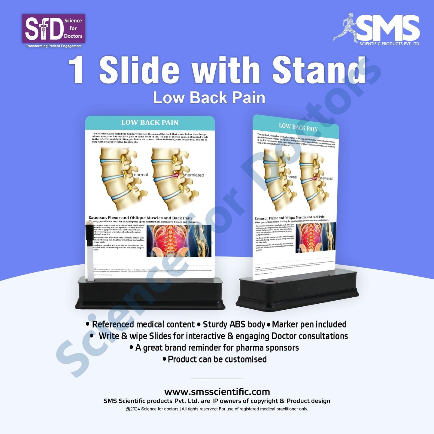 Low Back Pain: 1 Slide on stand
