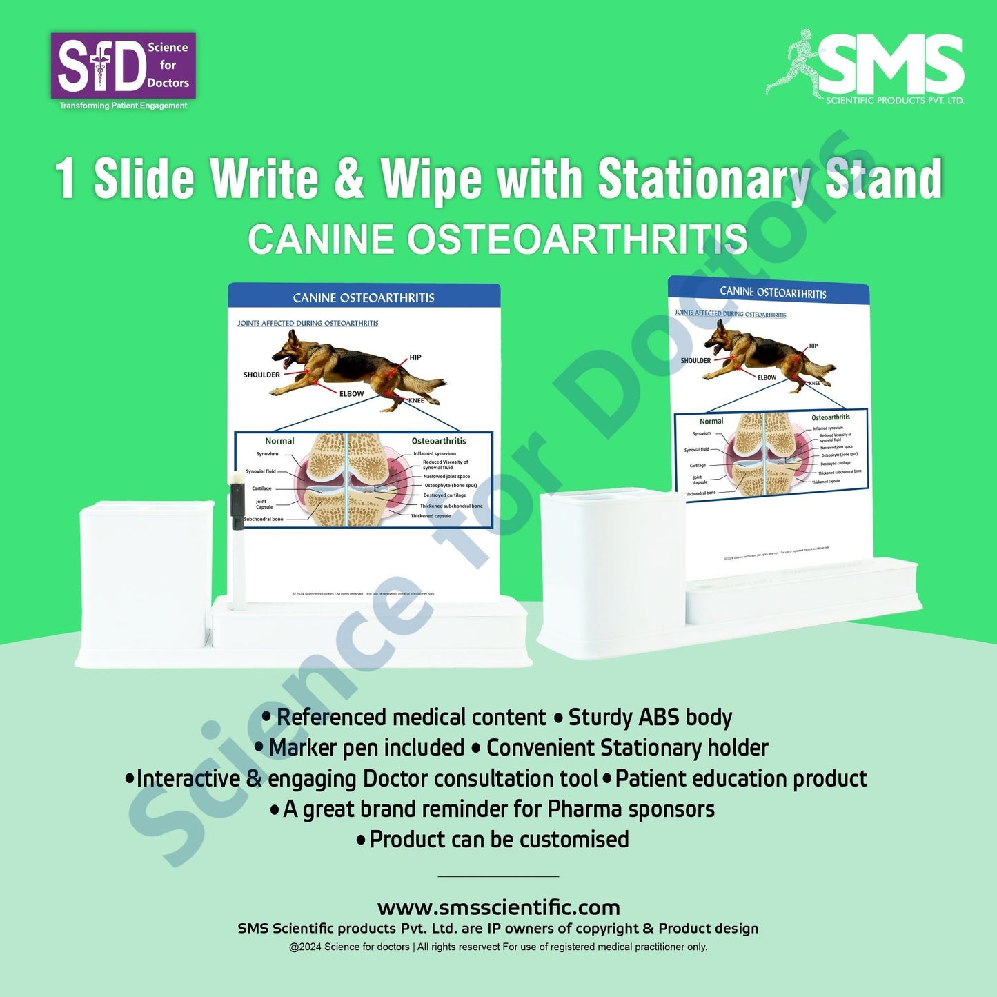 Canine Osteoarthritis: 1 Slides Write & Wipe with Stationary Stand
