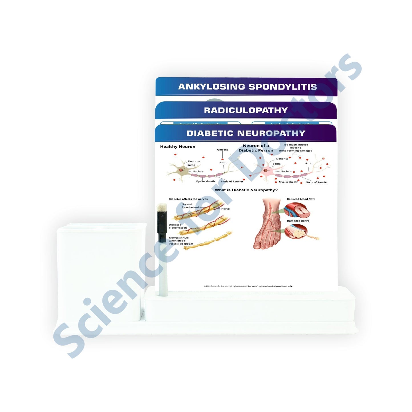 3 Slide Write Wipe With Stationery Stand - Diabetic Neuropathy