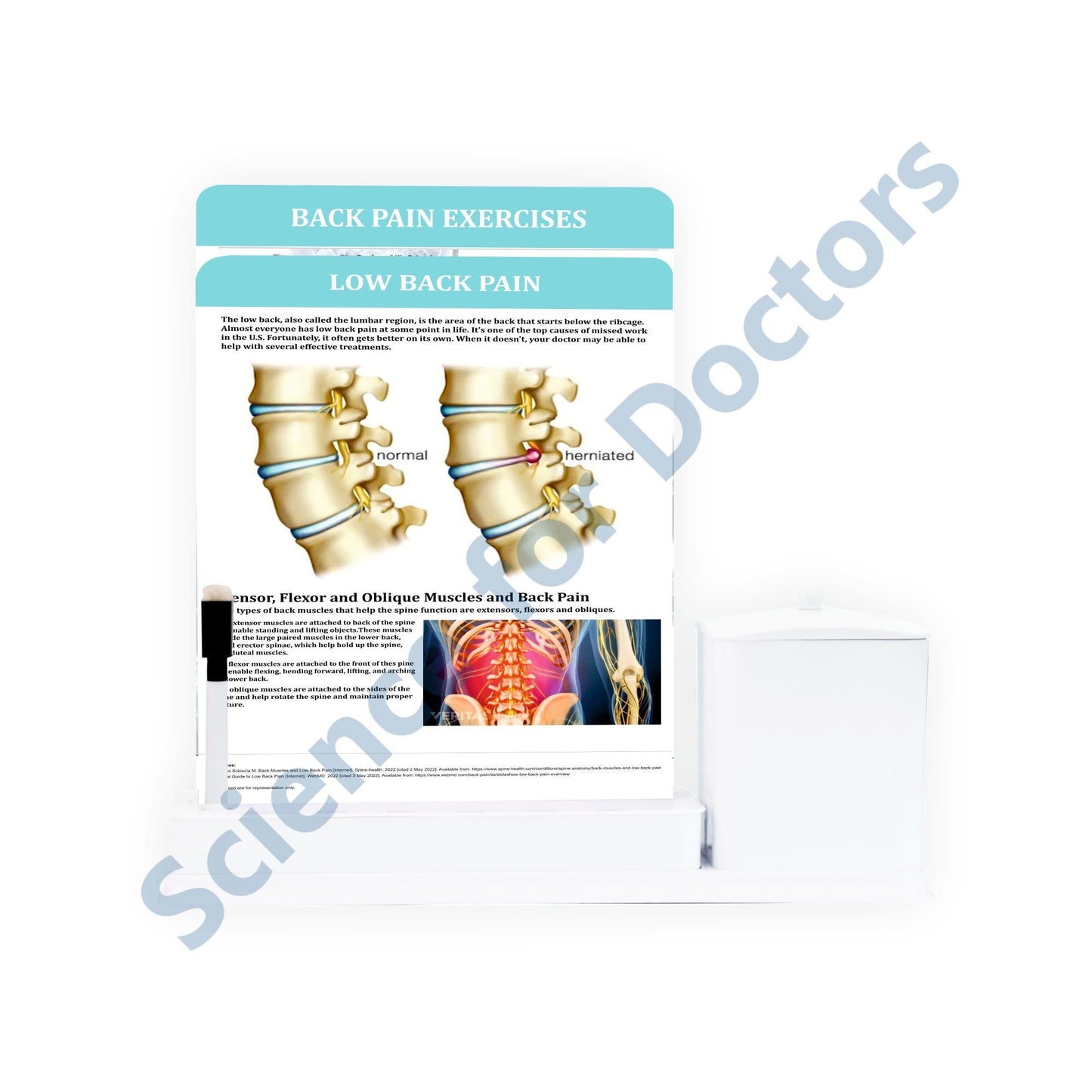 2 Slides Write & Wipe with Utility Container - Low Back Pain
