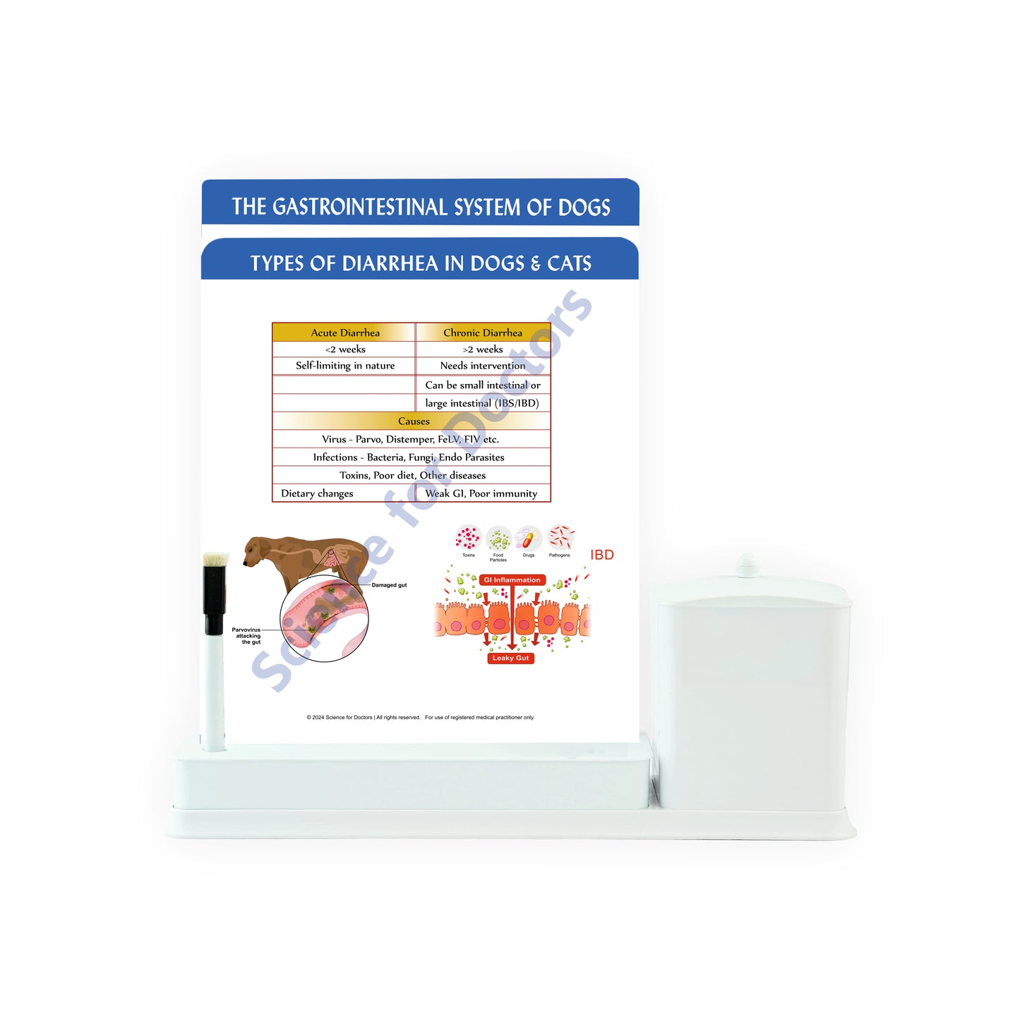 types of diarrhea in dogs & cats: 2 Slide Write Wipe With Utility Container