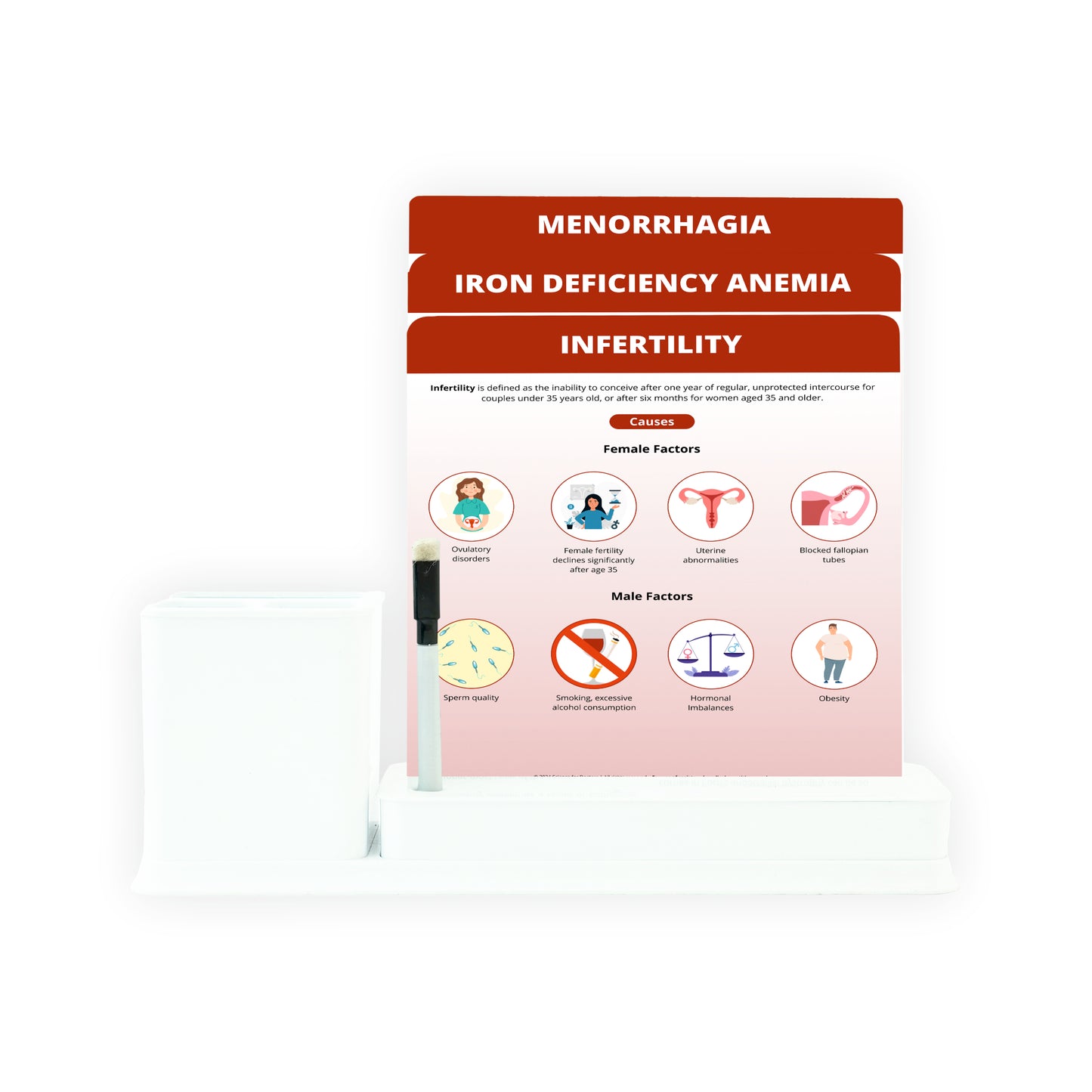 Infertility_1: 3 Slides Write & Wipe With Stationary Stand