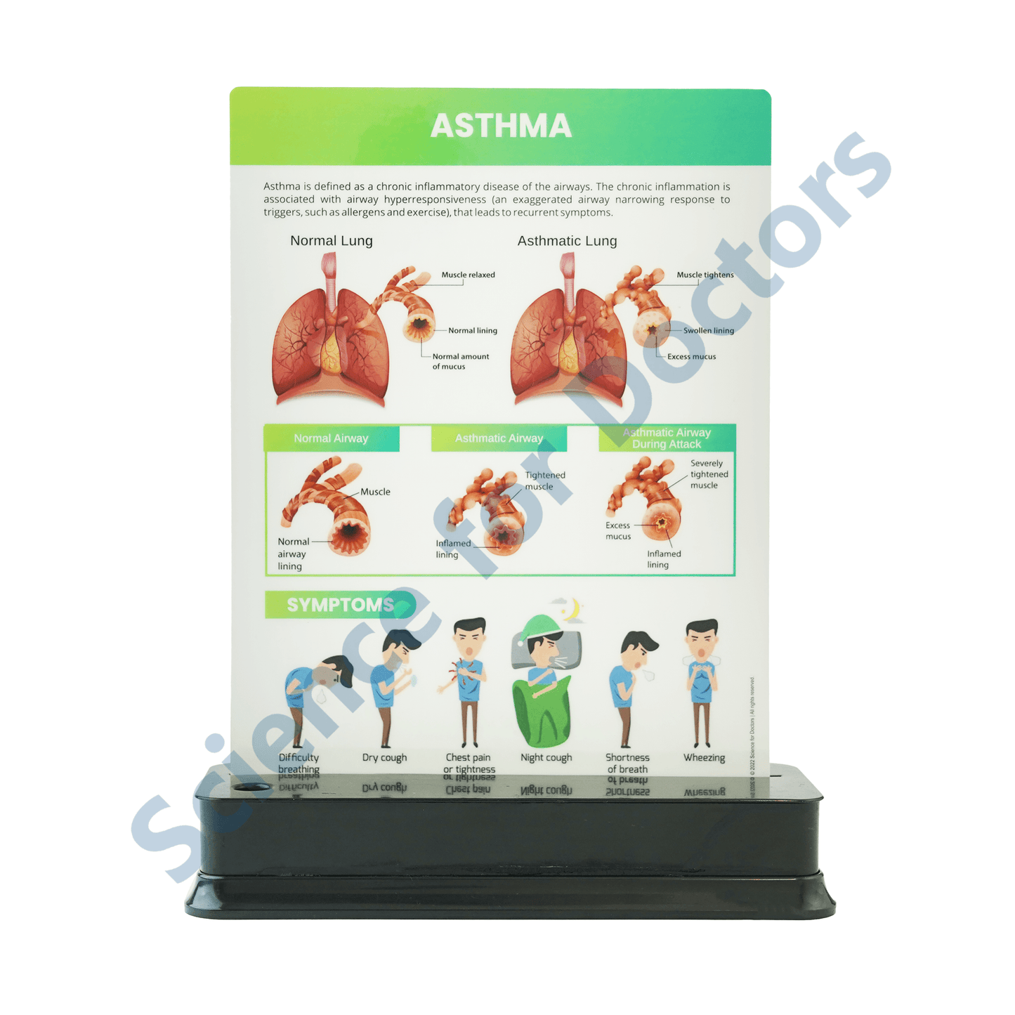 Asthma: 1 slide on stand