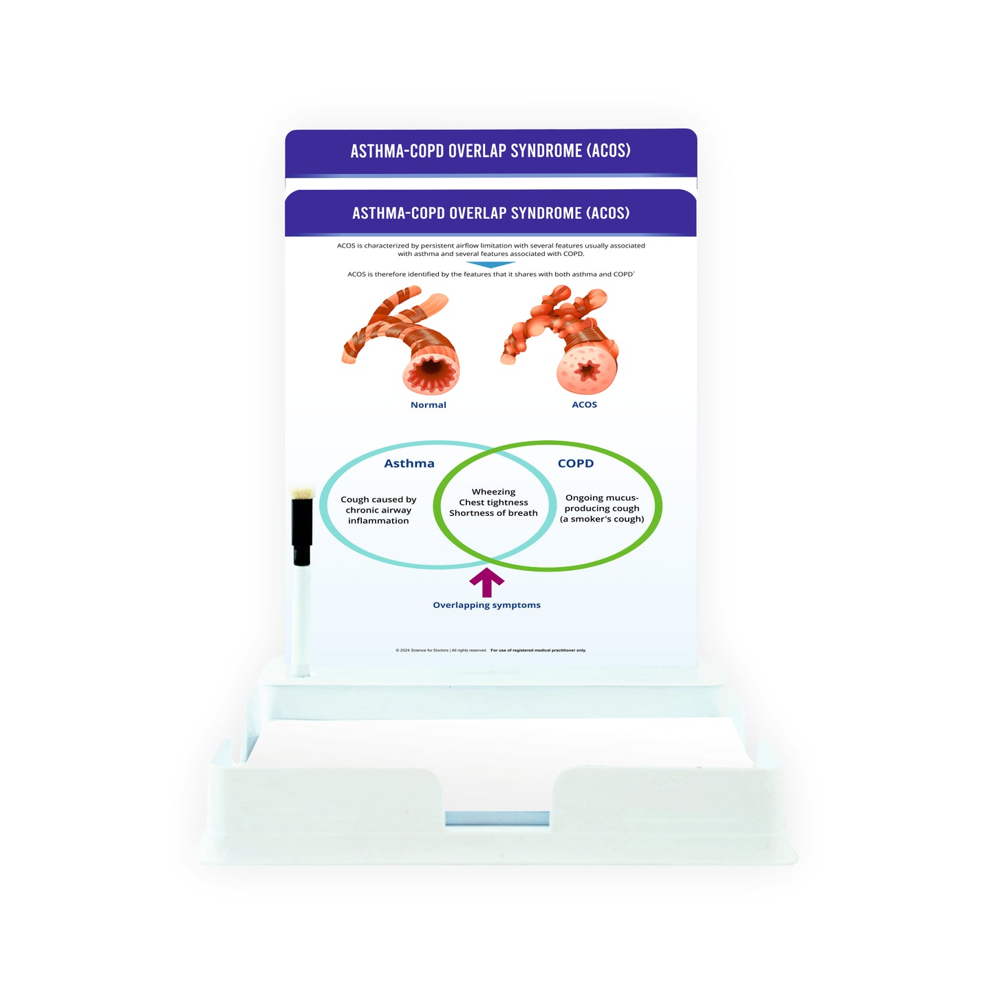 Asthma-COPD Overlap Syndrome (ACOS): 2 Slides With Tray