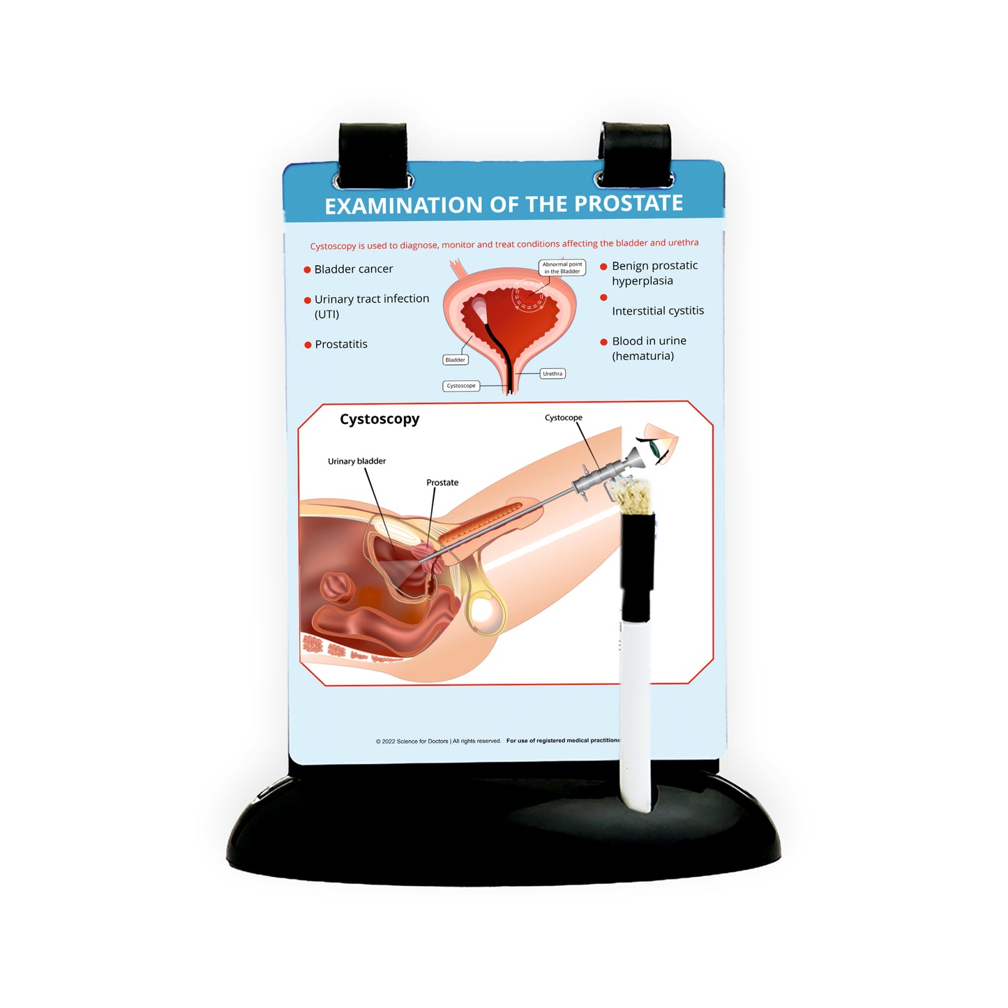 Examination of The Prostate: A5 Flip Wipe