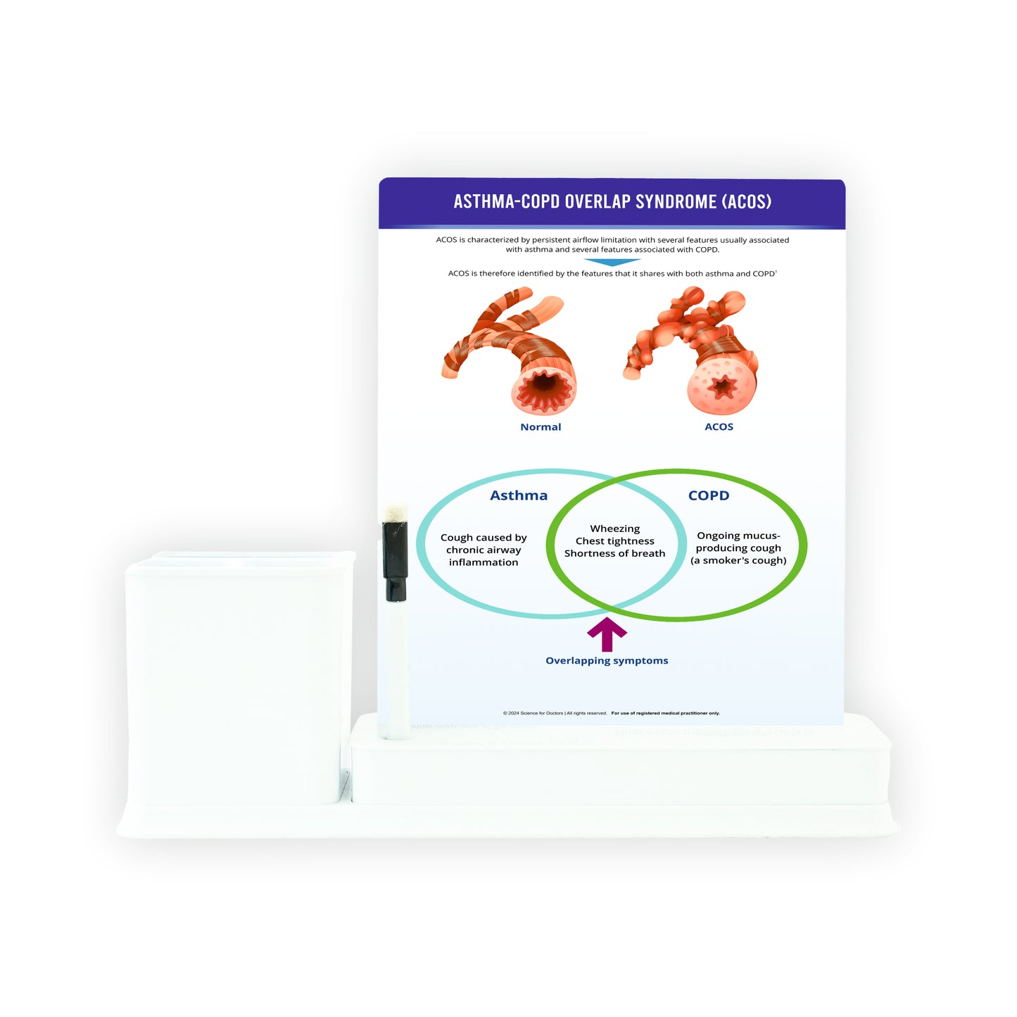 Asthma-COPD Overlap Syndrome (ACOS): 1 Slide Write & Wipe with Stationary Stand