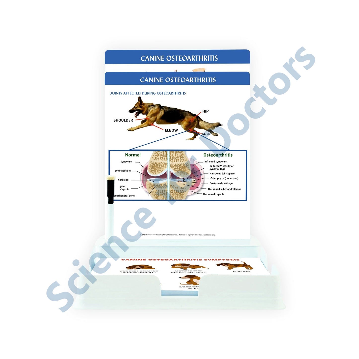 Canine Osteoarthritis: 2 Slides Patient Leaflet Tray