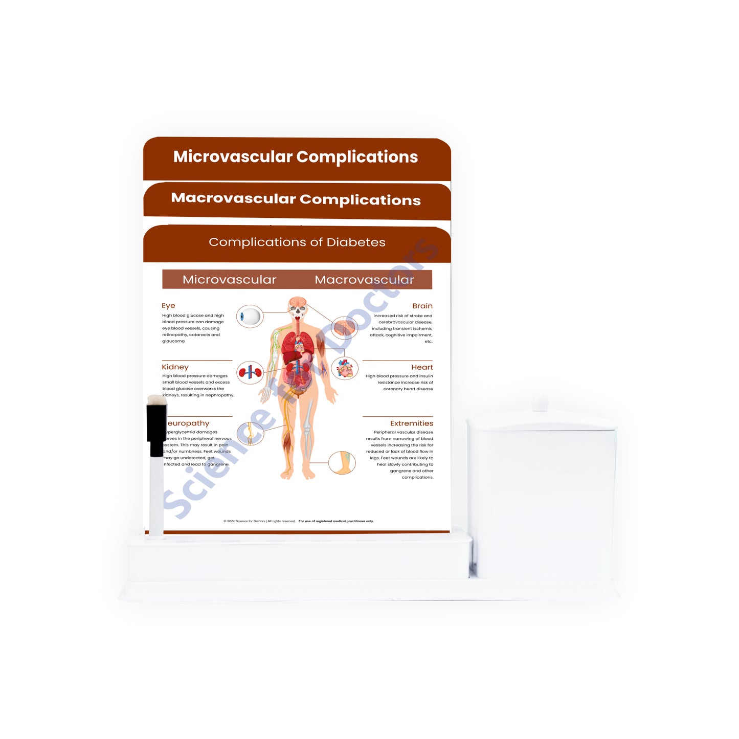 Complications of Diabetes: 3 Slides Write Wipe With Utility Container