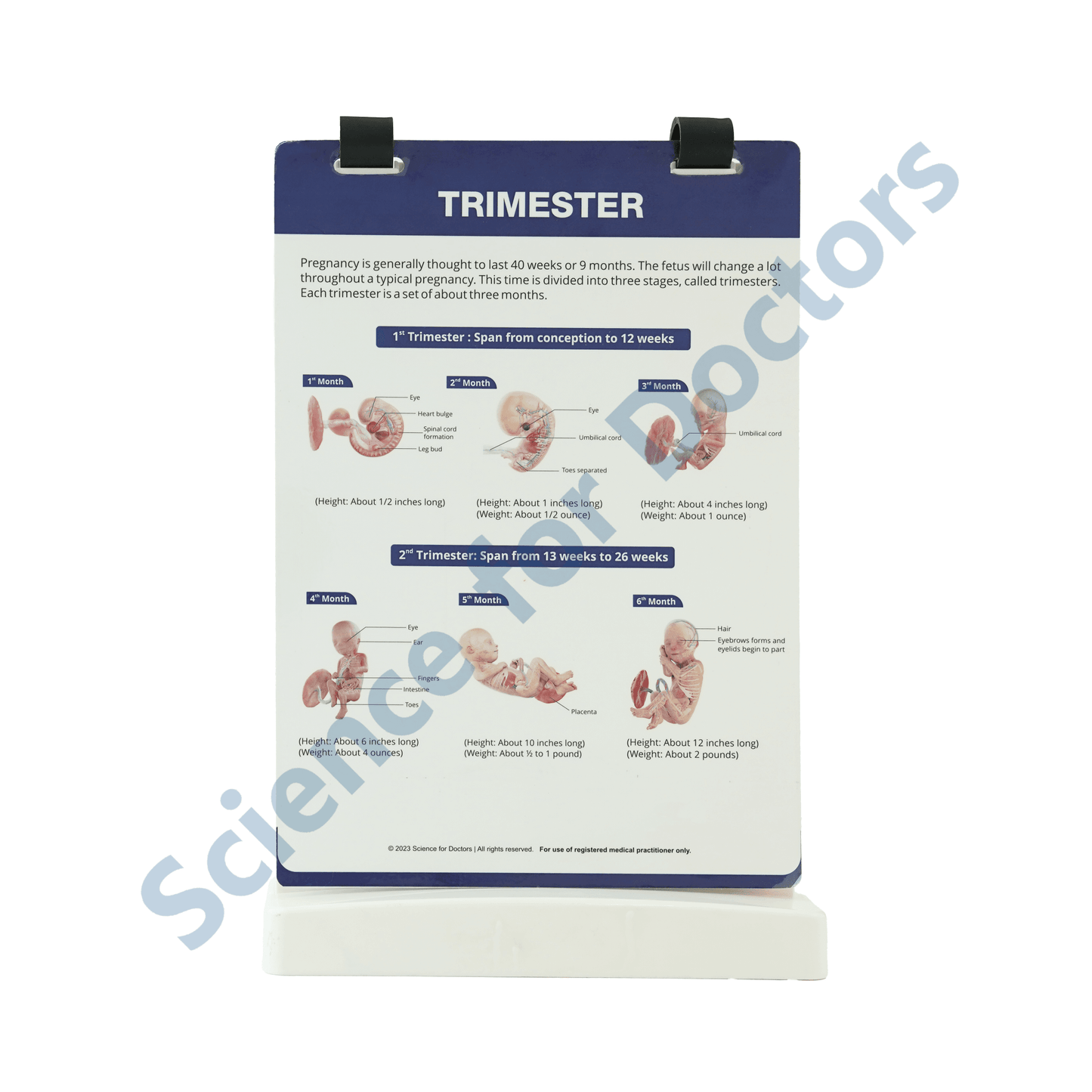 Baby Development: A4 Flip Wipe with 3D Therapy Board