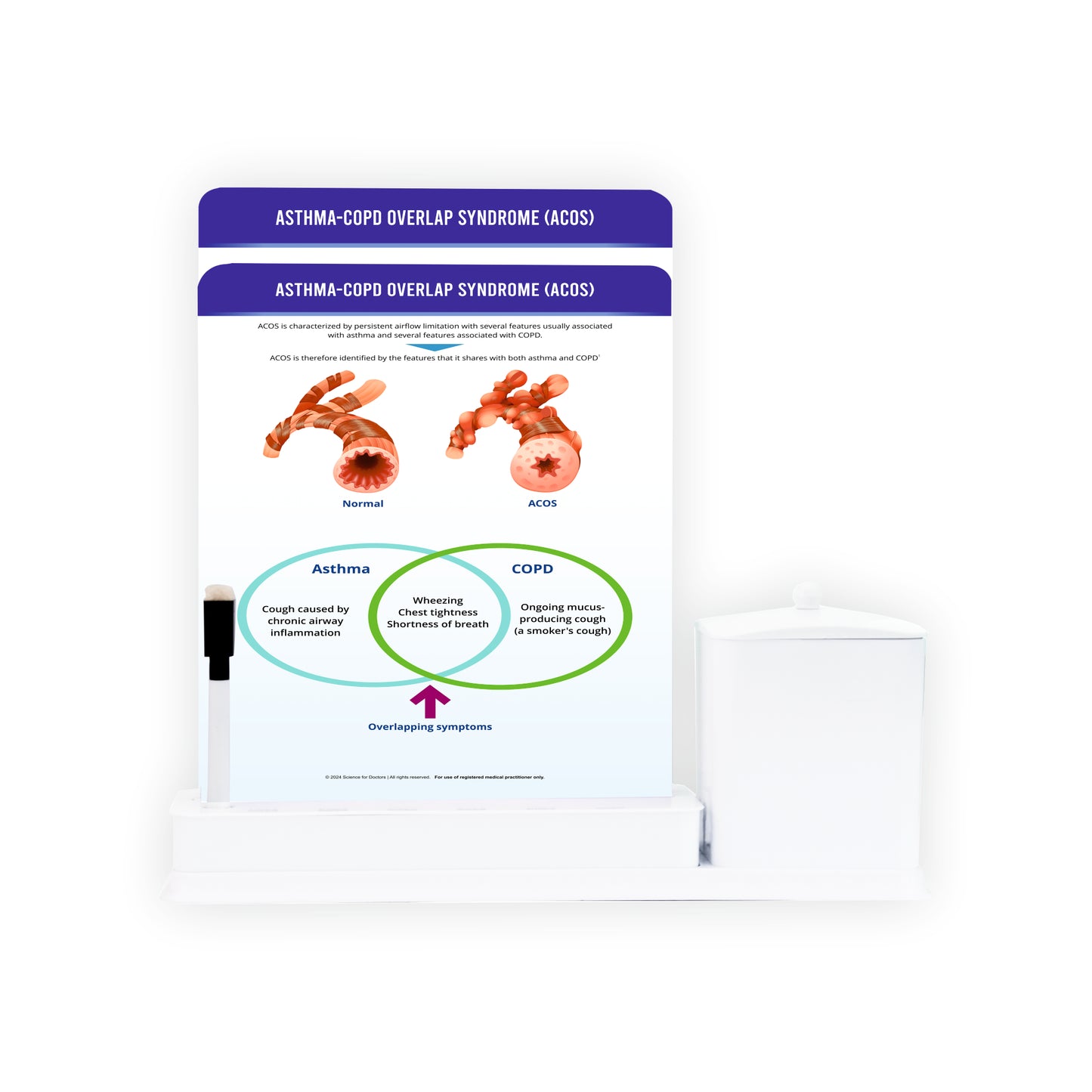 Asthma-COPD Overlap Syndrome (ACOS): 2 Slide Write Wipe With Utility Container