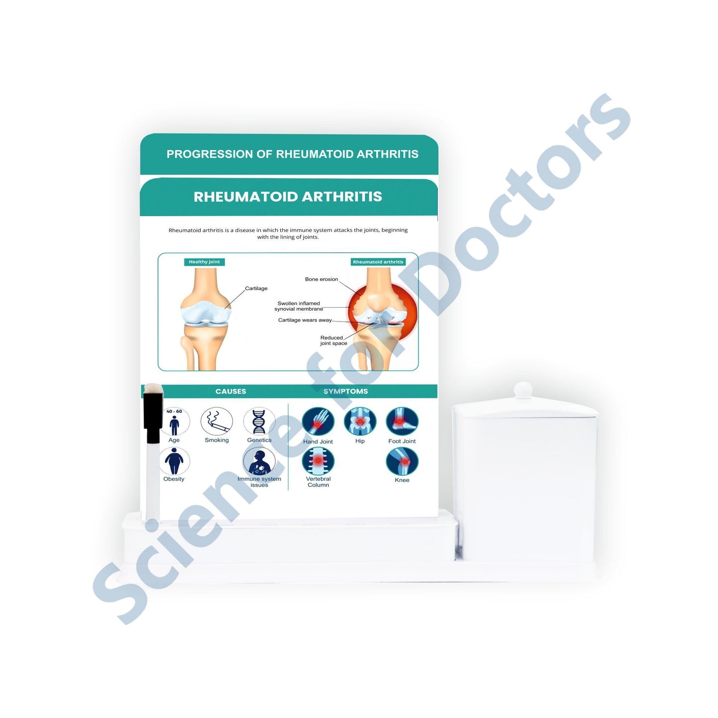 2 Slides Write & Wipe with Utility Container - Rheumatoid Arthritis