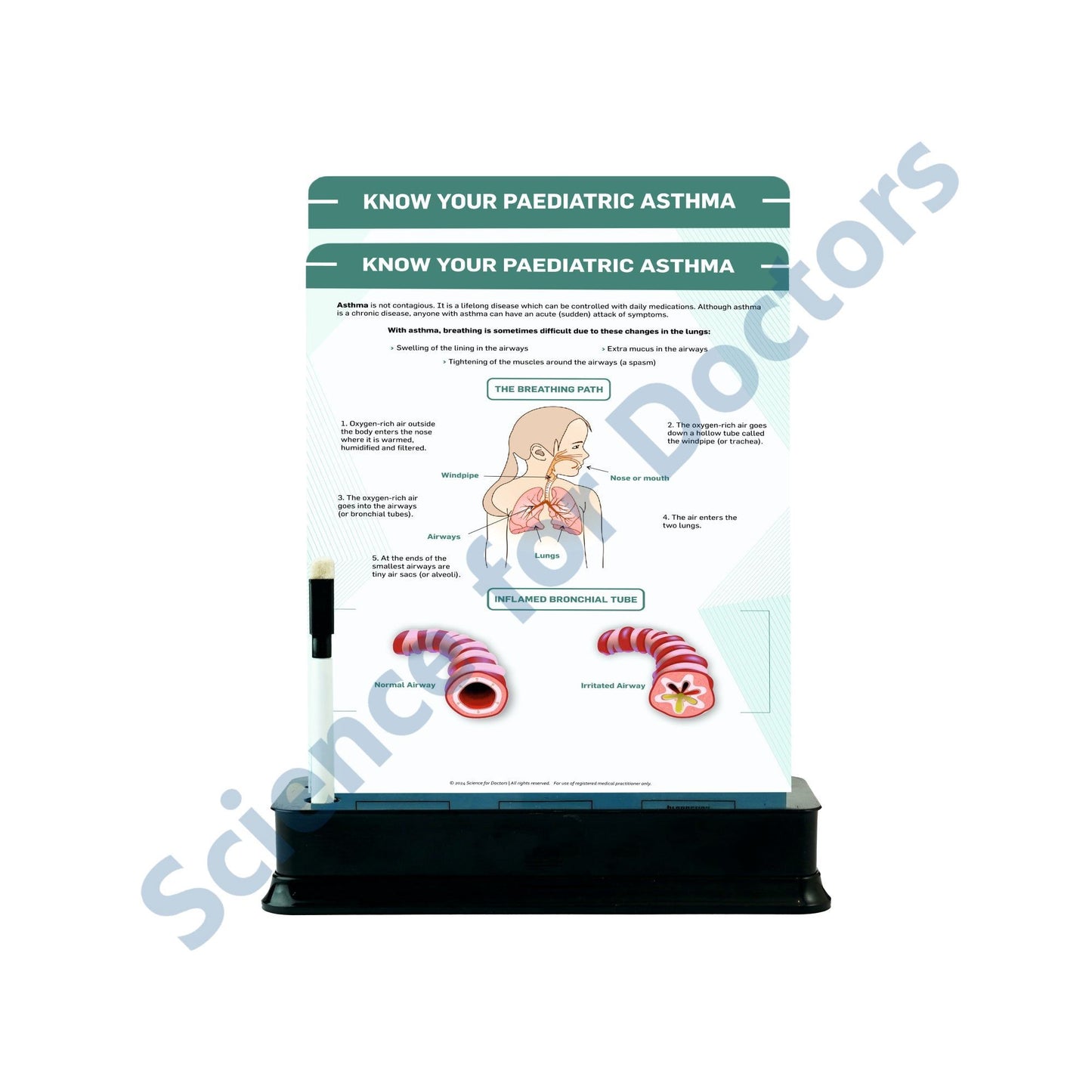 Know Your Pediatric Asthma: 2 Slides on stand