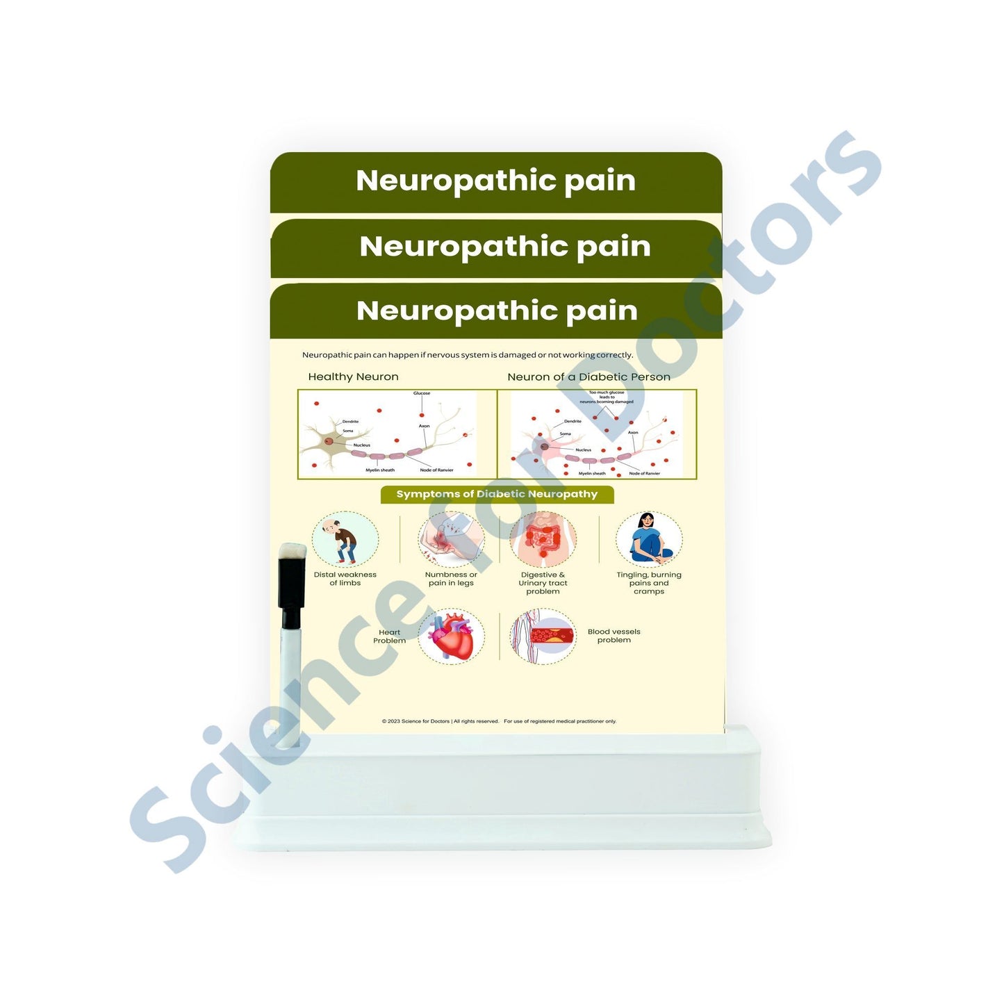 Neuropathic Pain (1): 3 slide on stand