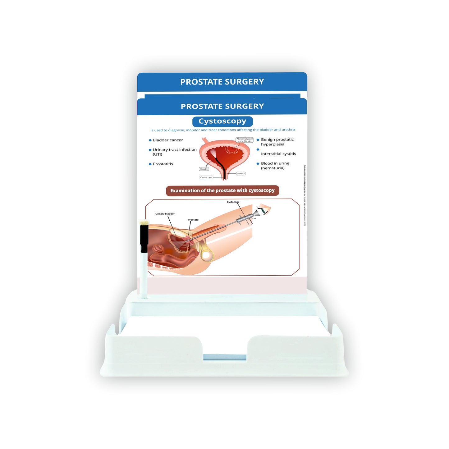 Prostate Surgery: 2 Slides With Patient Leaflet Tray