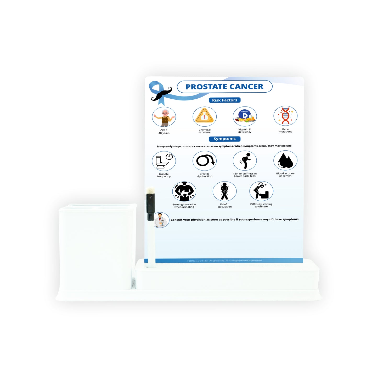 Prostate Cancer: 1 Slides Write & Wipe with Stationary Stand