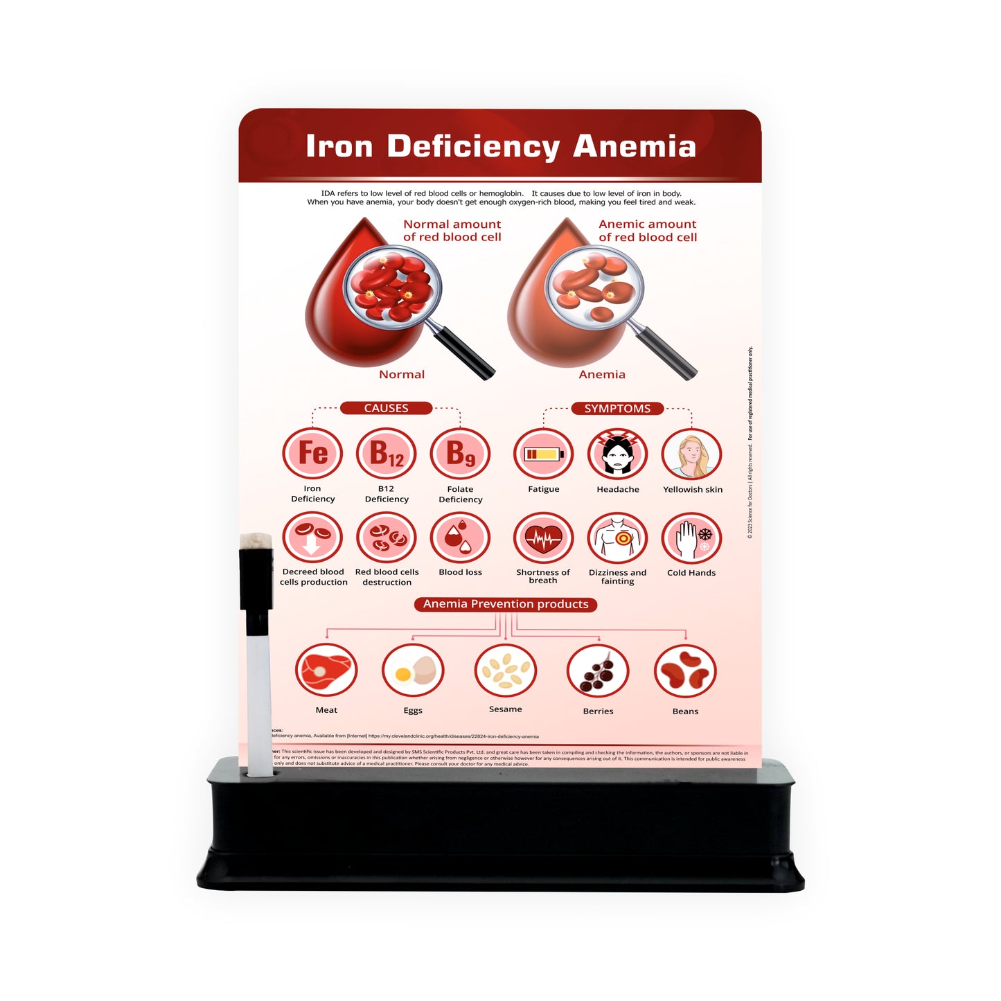 Iron Deficiency Anemia_1: 1 Slide With Stand