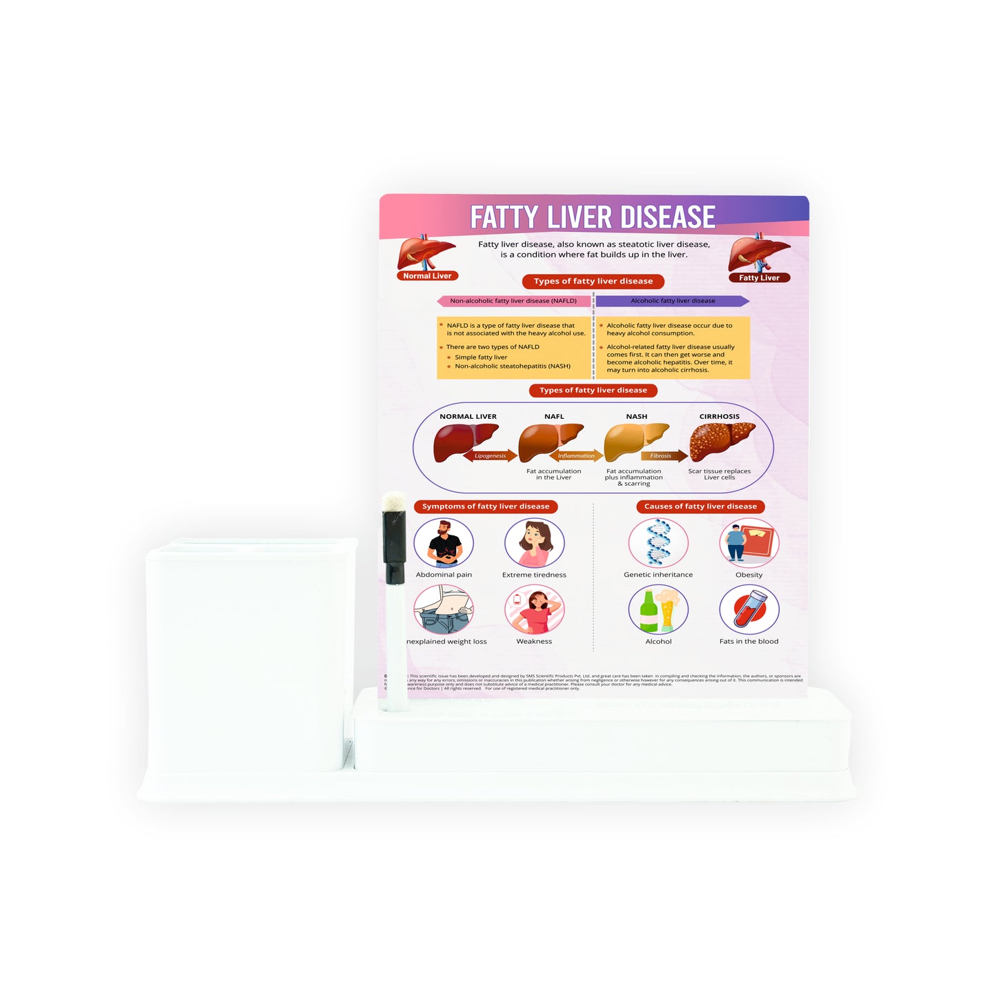 Fatty Liver Disease: 1 Slide Write & Wipe with Stationary Stand