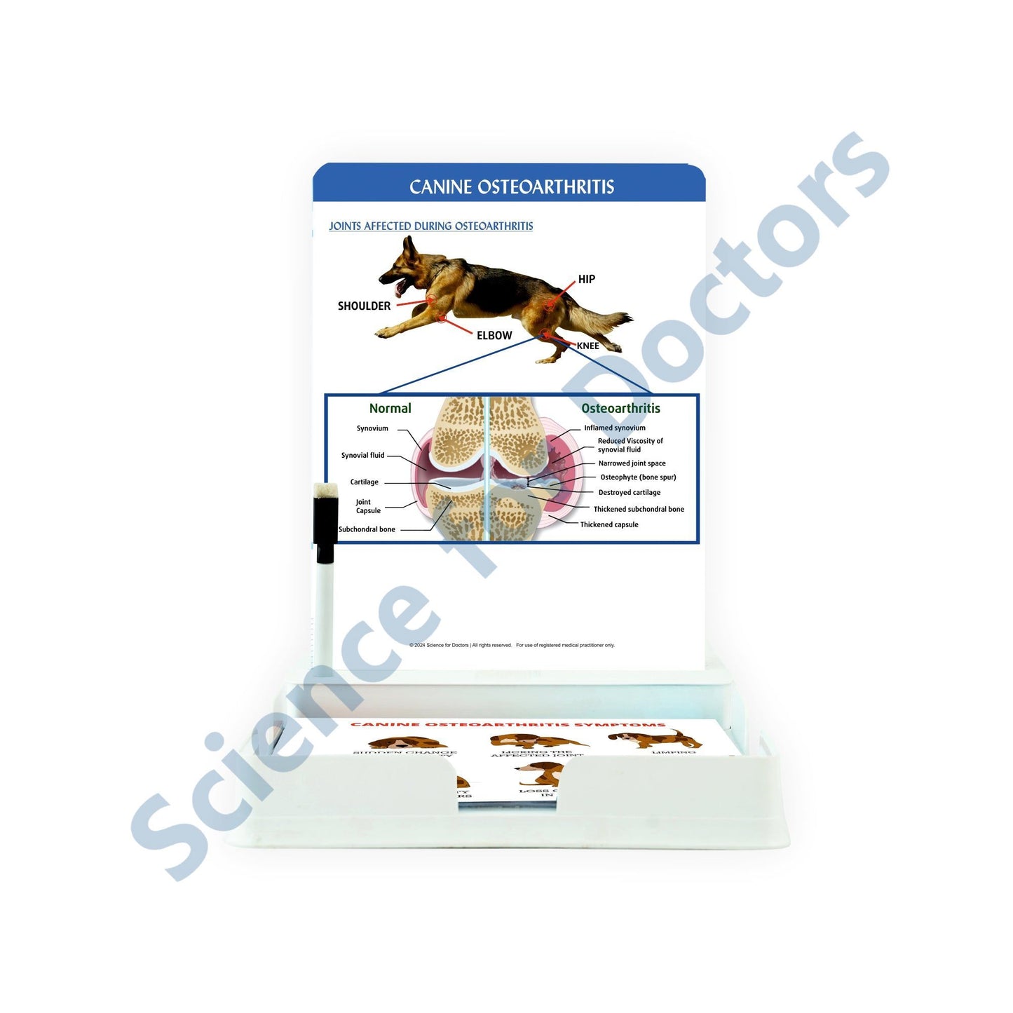 Canine Osteoarthritis: 1 Slide with Patient Leaflet Tray