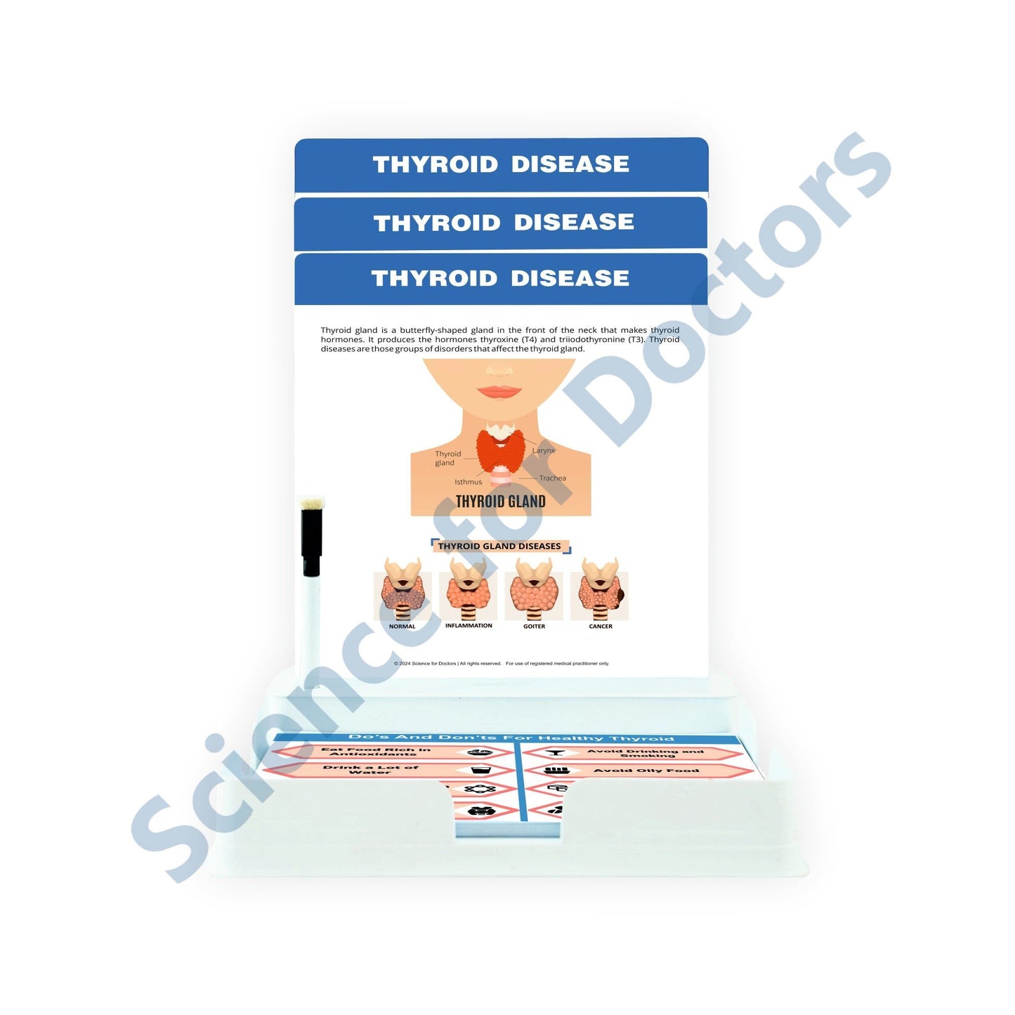 Thyroid Disease - 3 Slides With Tray