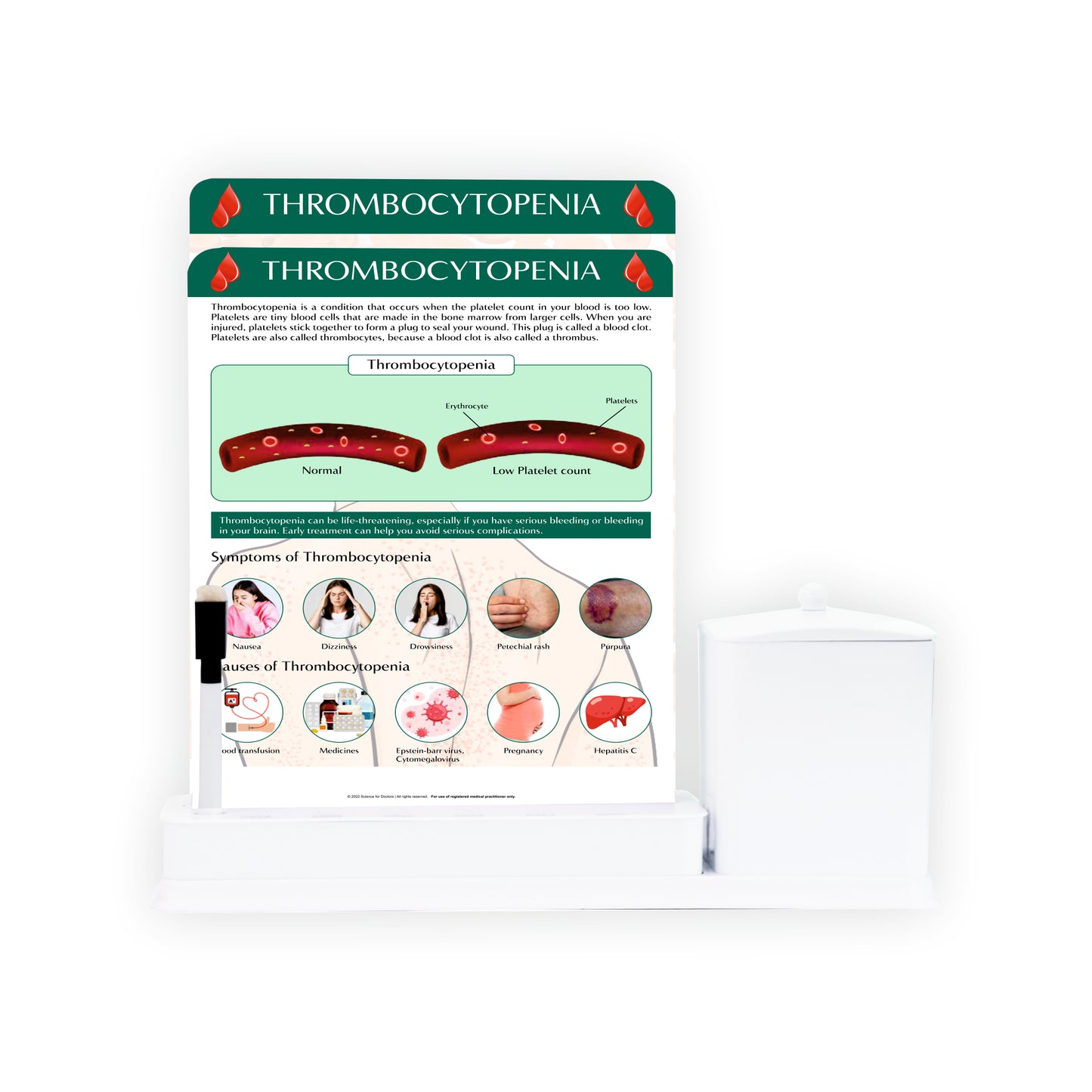 Thrombocytopenia: 2 Slides Write And Wipe With Utility Container