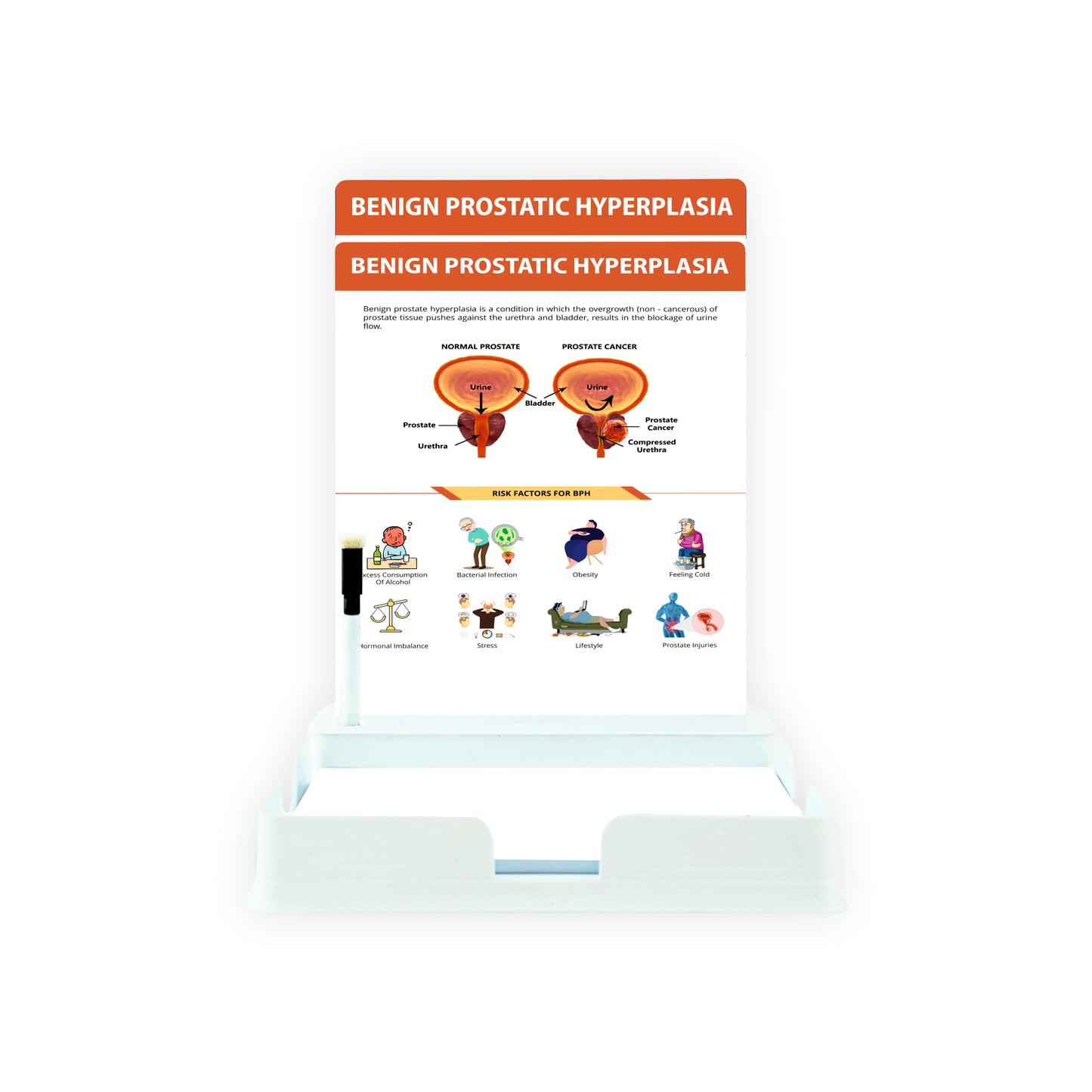 Benign Prostatic Hyperplasia : 2 Slides Patient Leaflet Tray