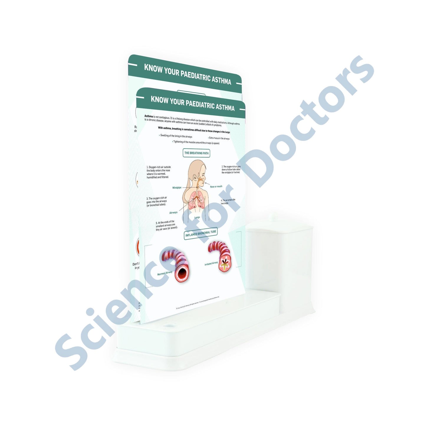 Know your Pediatric Asthma: 2 Slide Write Wipe With Utility Container