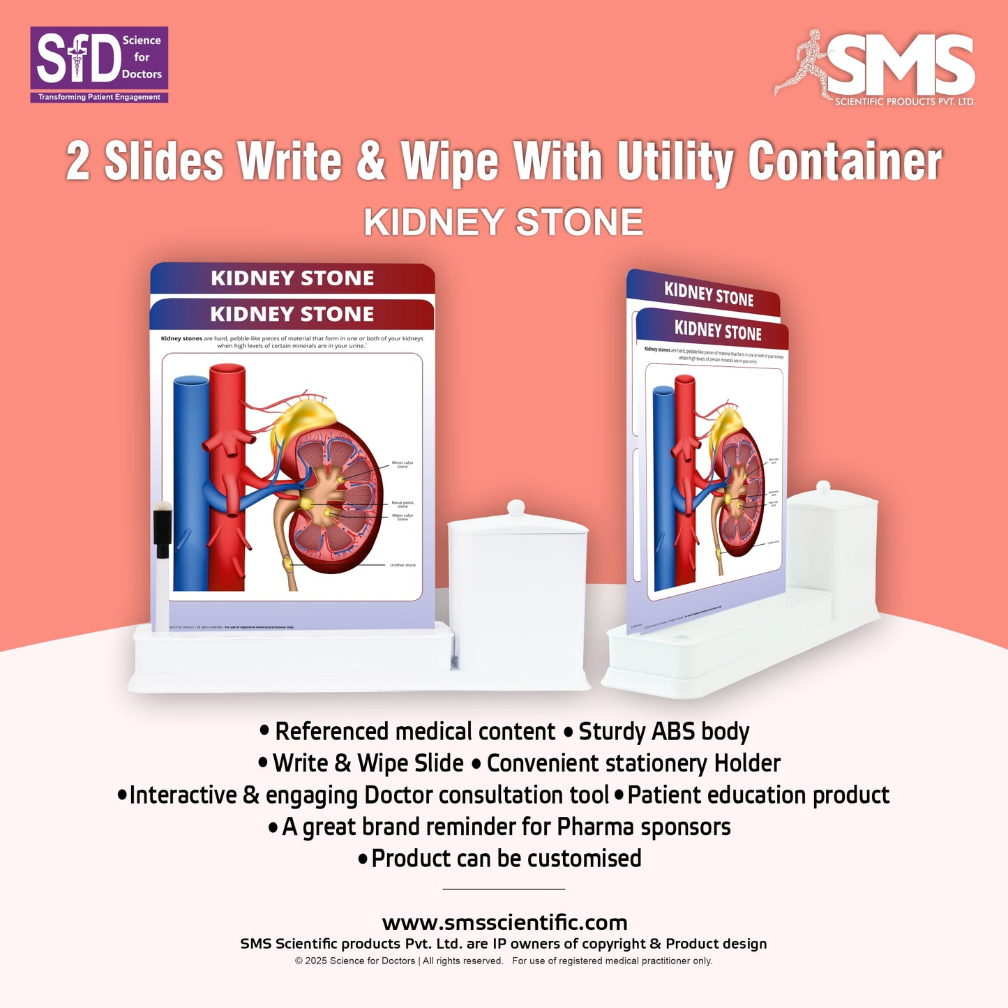 Kidney Stone: 2 Slide Write Wipe With Utility Container