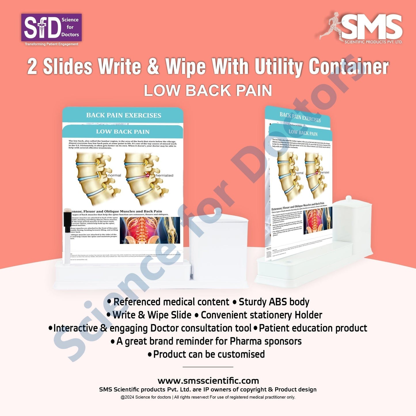 2 Slides Write & Wipe with Utility Container - Low Back Pain