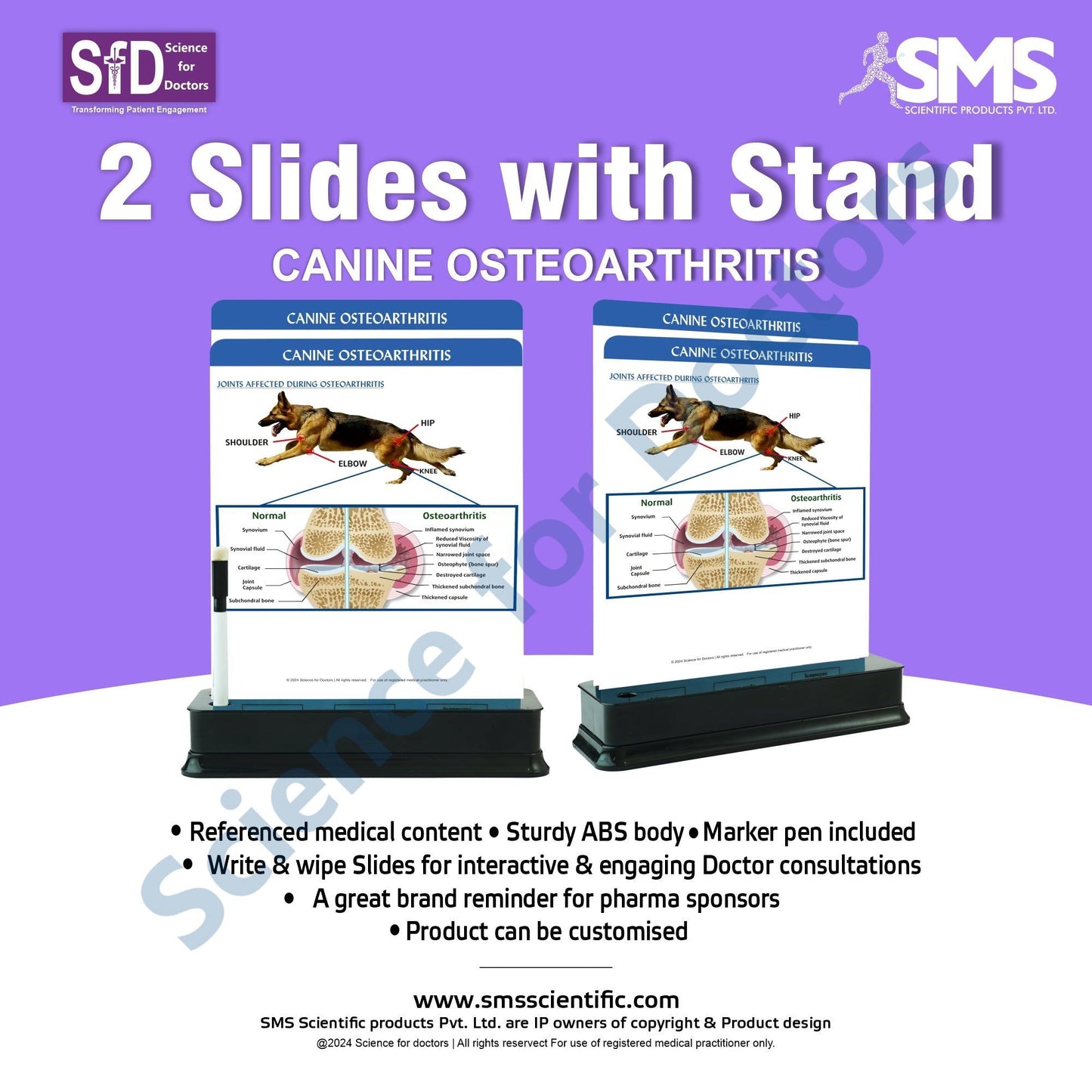 Canine Osteoarthritis: 2 Slides on stand