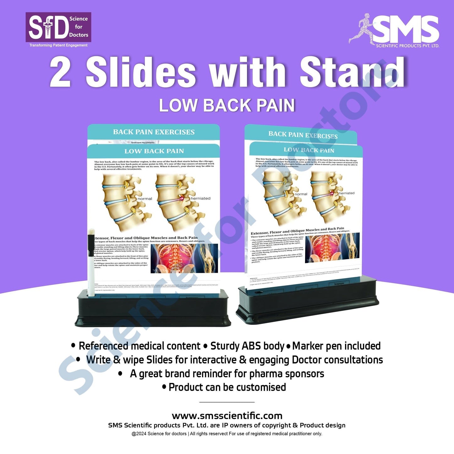Low Back Pain: 2 Slides on stand