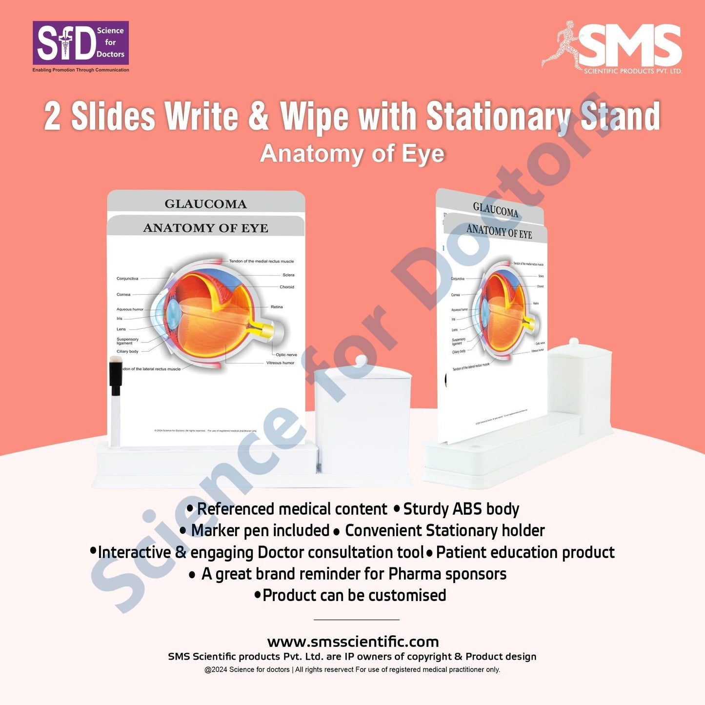 2 Slides Write & Wipe with Stationary Stand - Anatomy of Eye