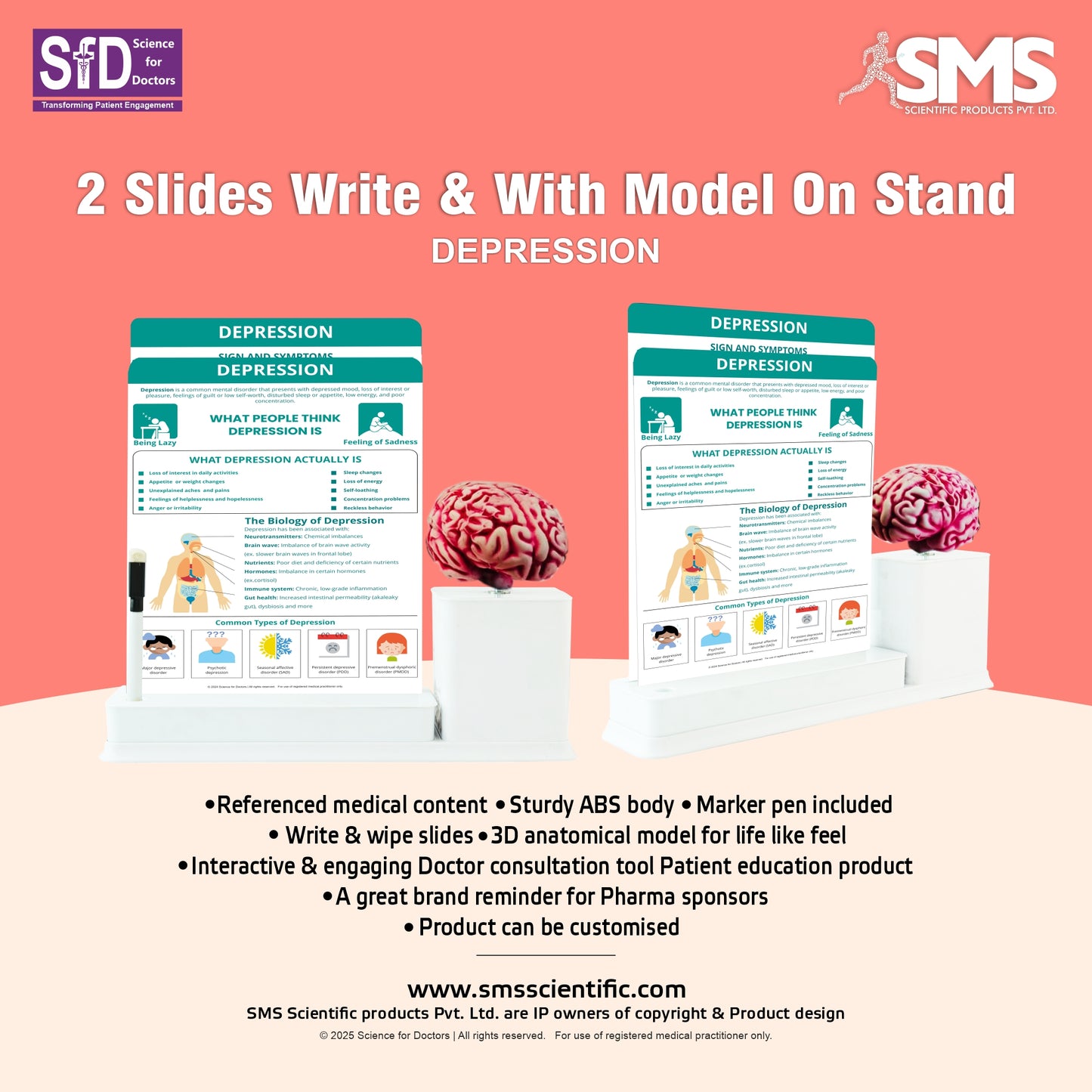 Depression: 2 Slides Write And Wipe With Model On Stand