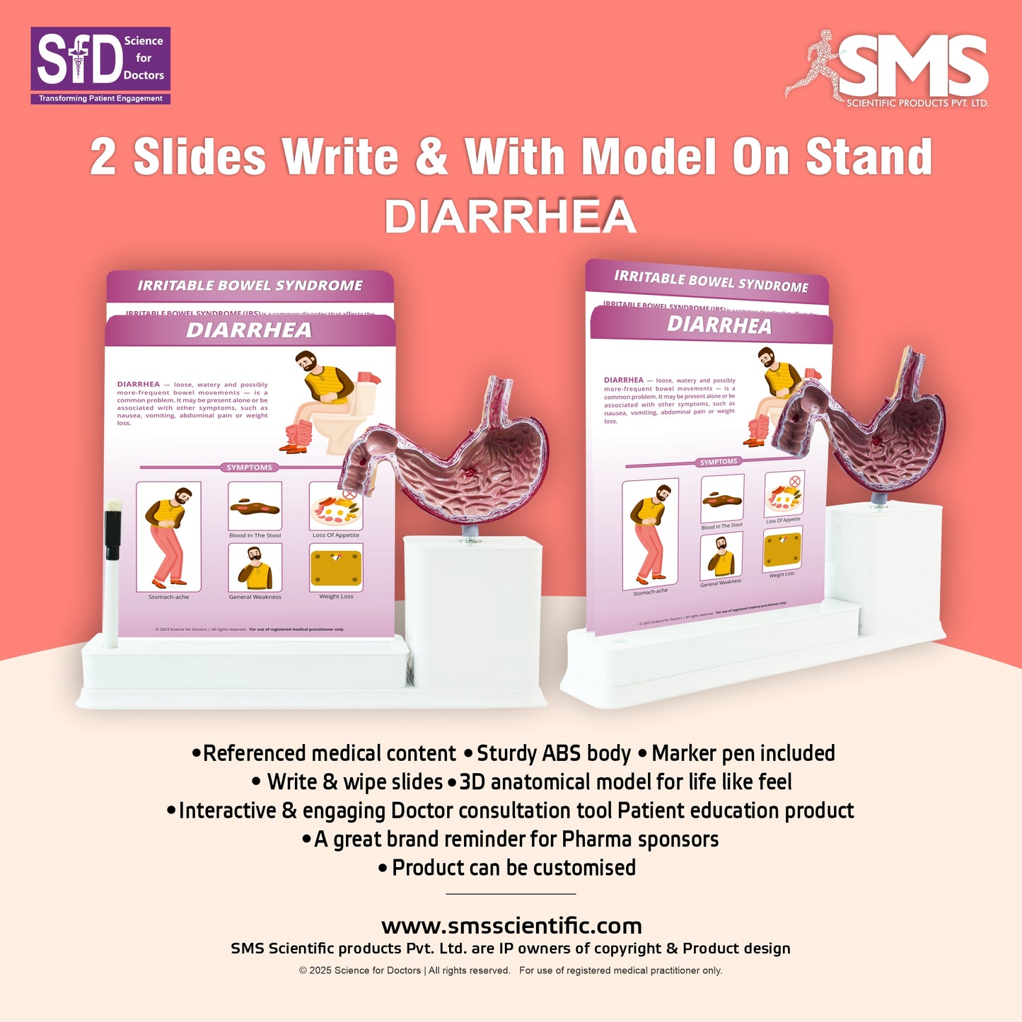 Diarrhea: 2 Slides Write and Wipe with Model On Stand