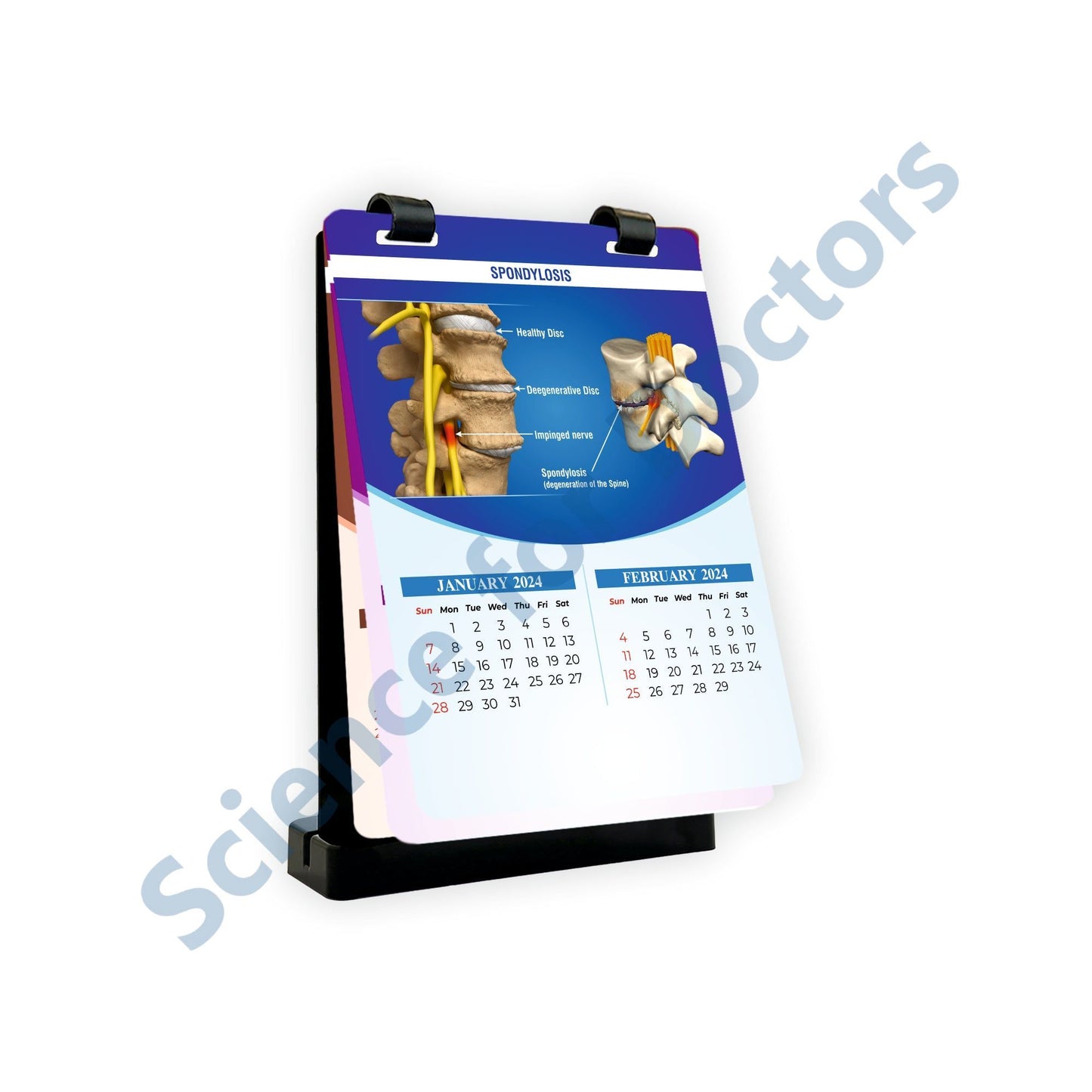 Spondylosis: A4 Flip Wipe