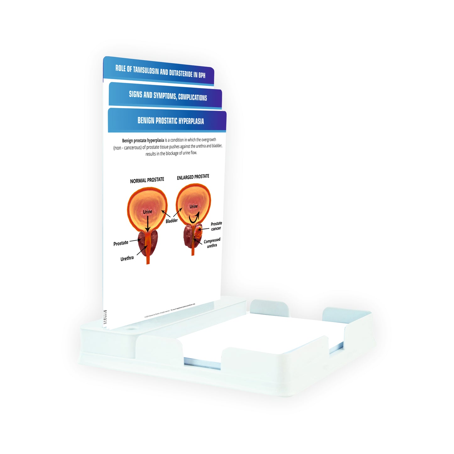 Benign Prostatic Hyperplasia : 3 Slides With Tray