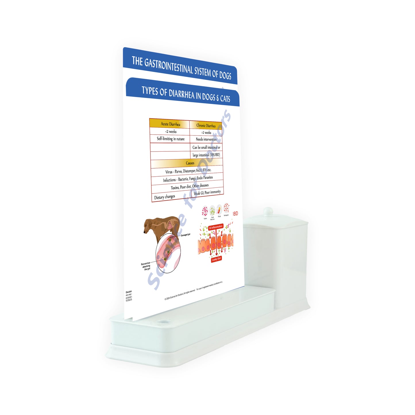 types of diarrhea in dogs & cats: 2 Slide Write Wipe With Utility Container