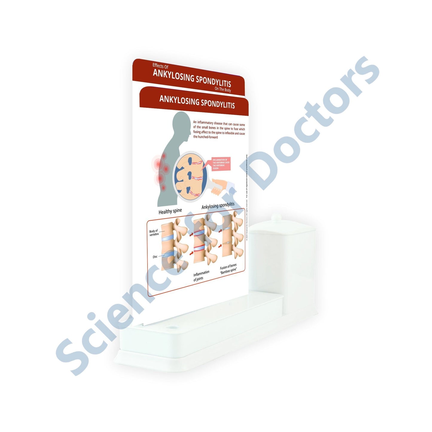 2 Slides Write & Wipe with Utility Container - Ankylosing Spondylitis