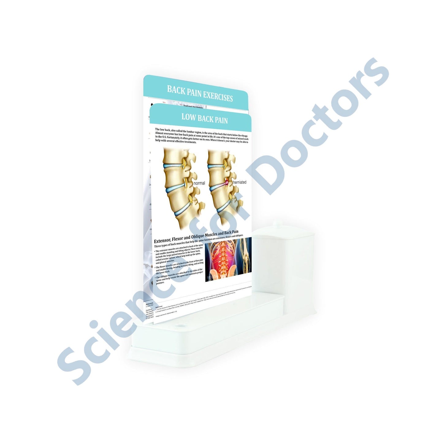 2 Slides Write & Wipe with Utility Container - Low Back Pain