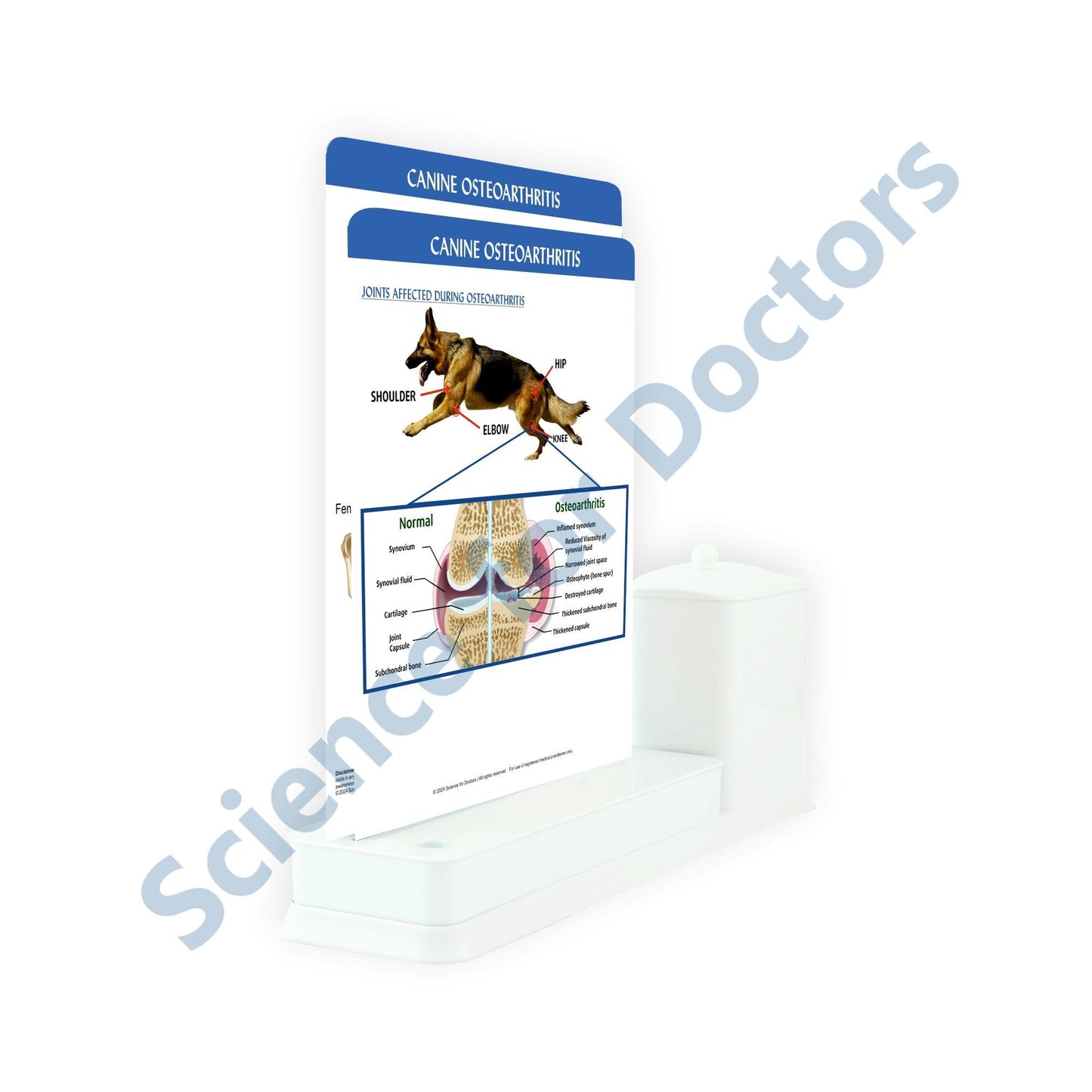Canine Osteoarthritis - 2 Slide Write Wipe With Utility Container