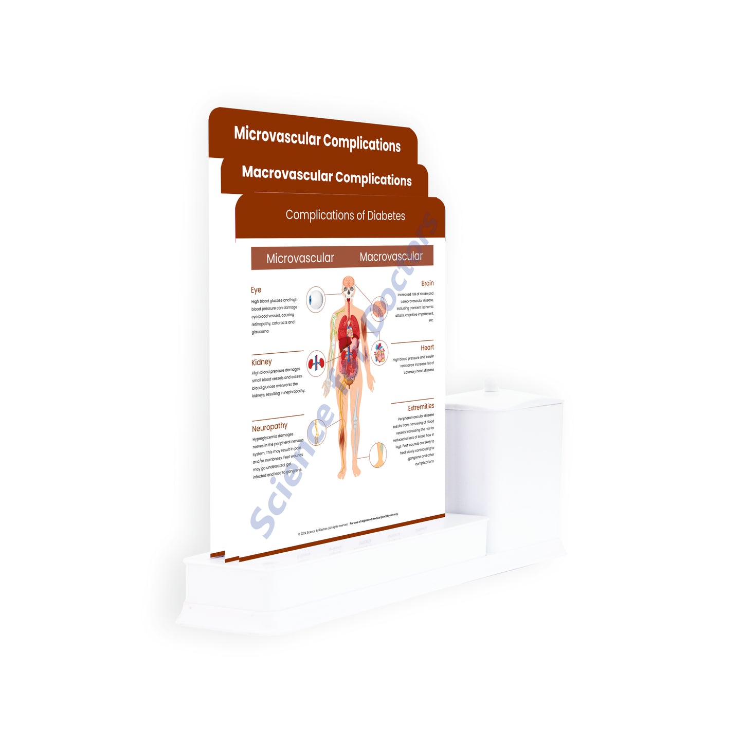 Complications of Diabetes: 3 Slides Write Wipe With Utility Container