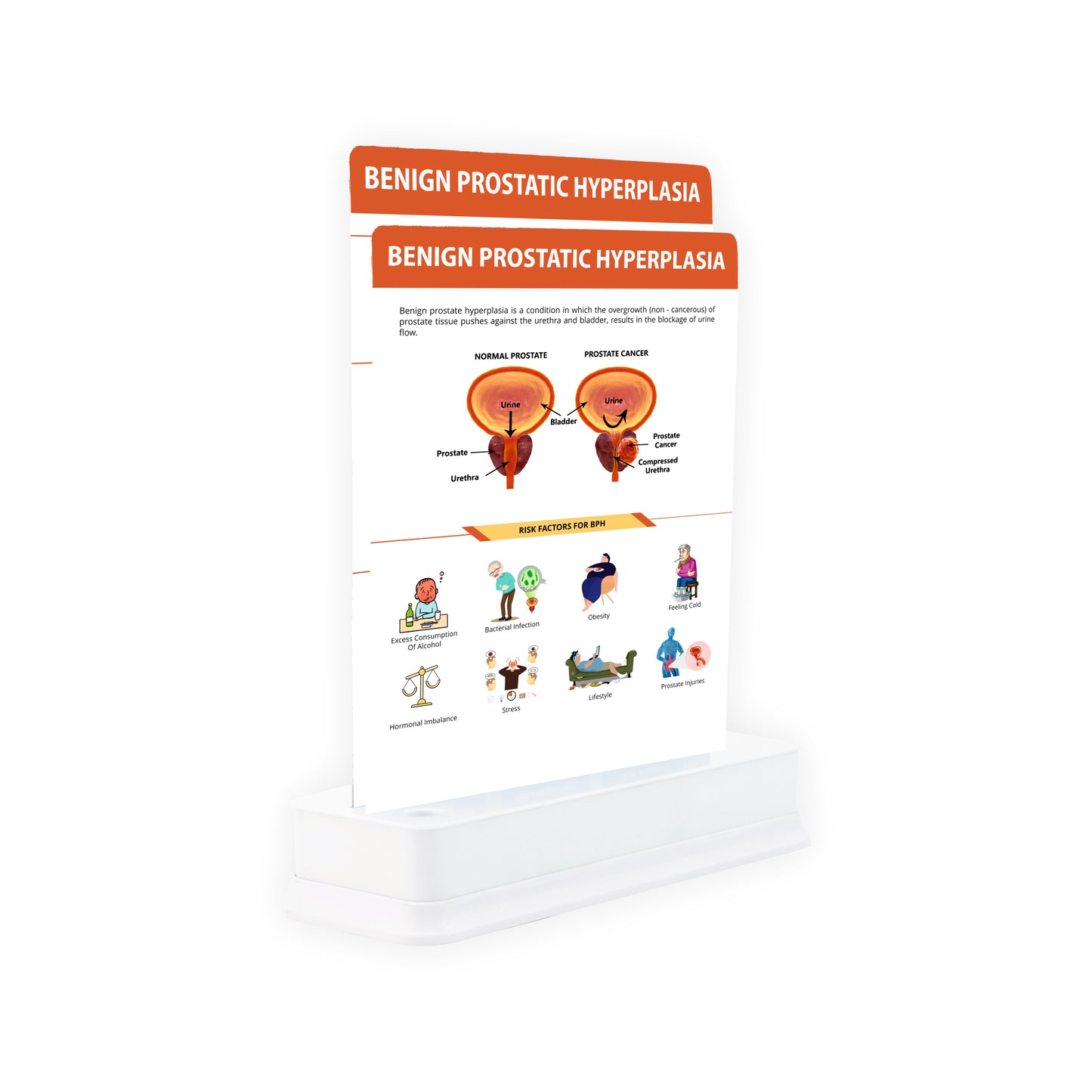 Benign Prostatic Hyperplasia : 2 Slides With Stand