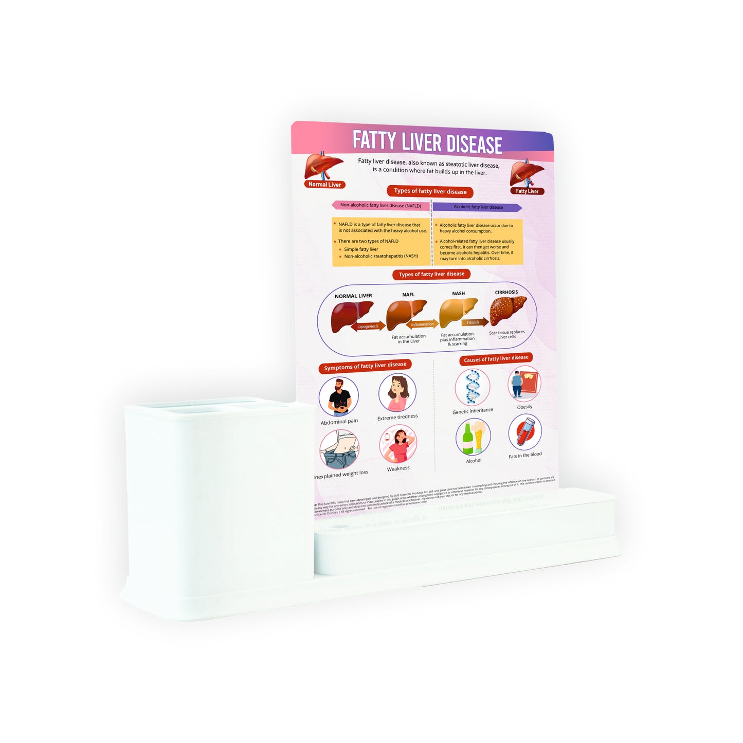 Fatty Liver Disease: 1 Slide Write & Wipe with Stationary Stand