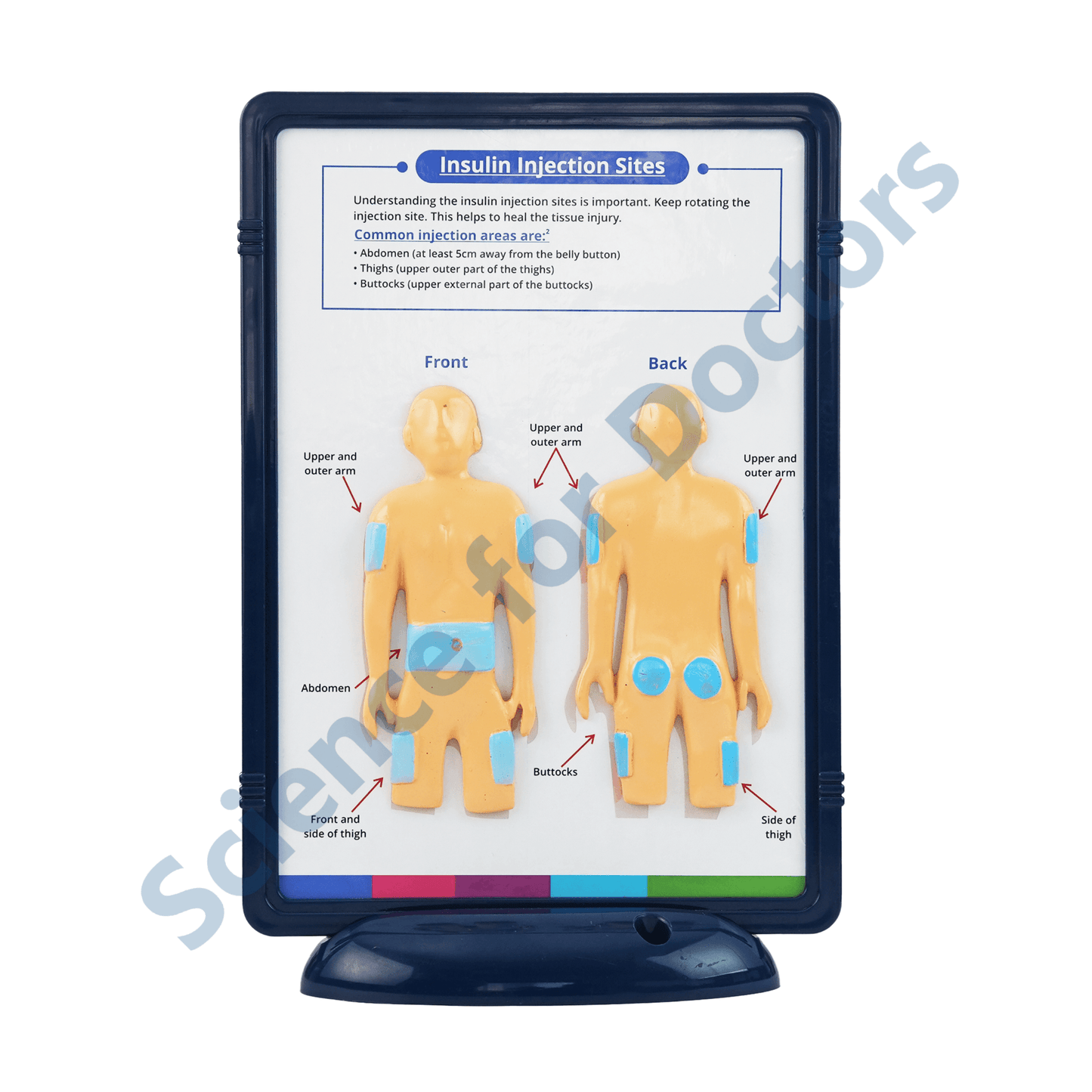 Insulin Injection Sites: 3D Therapy Frame
