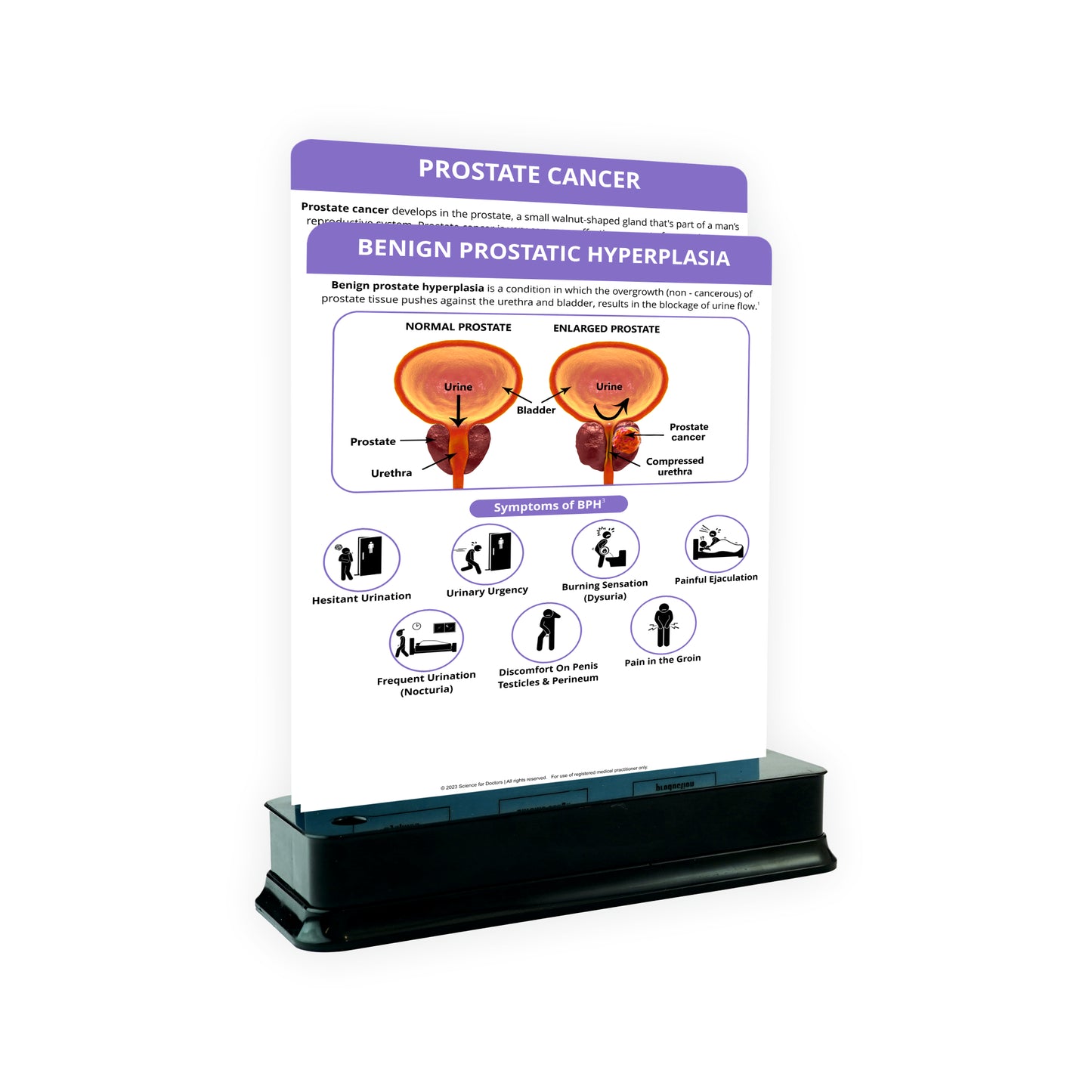 Benign Prostatic Hyperplasia_1 : 2 Slides With Stand