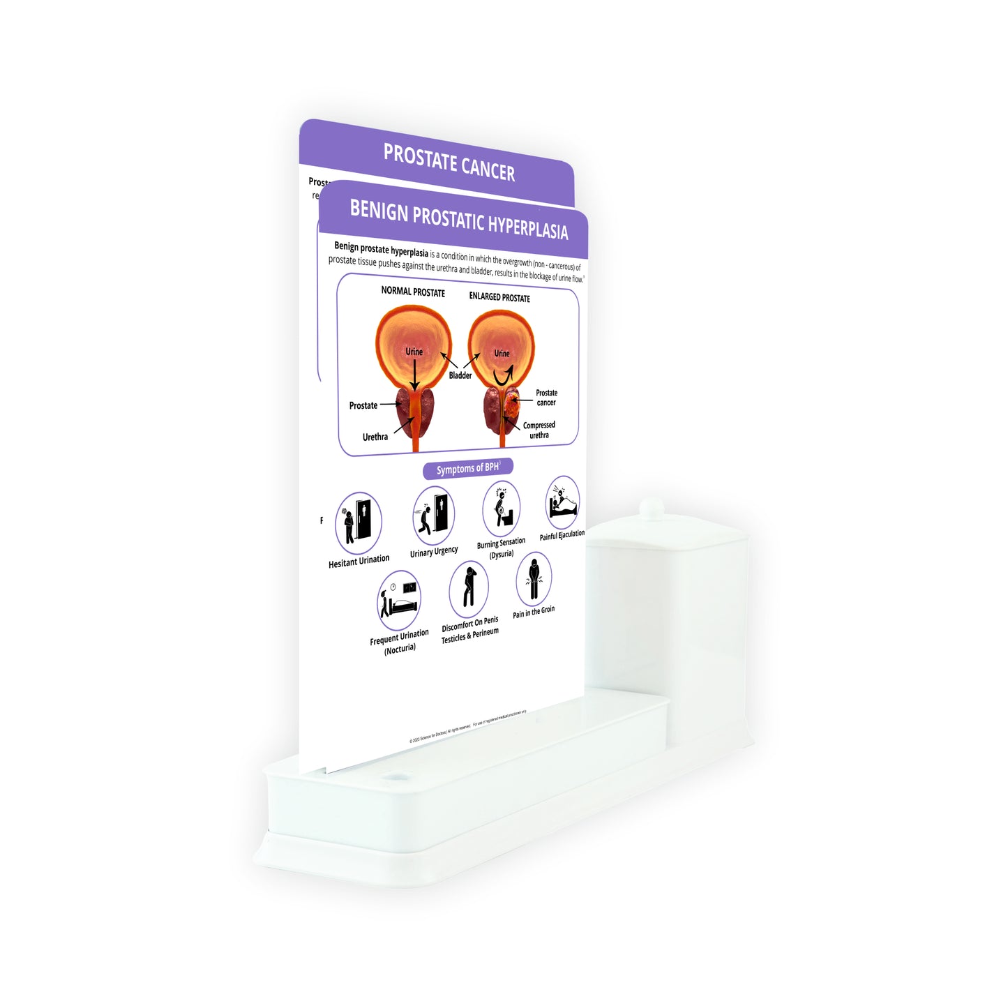 Benign Prostatic Hyperplasia_1 : 2 Slide Write Wipe With Utility Container