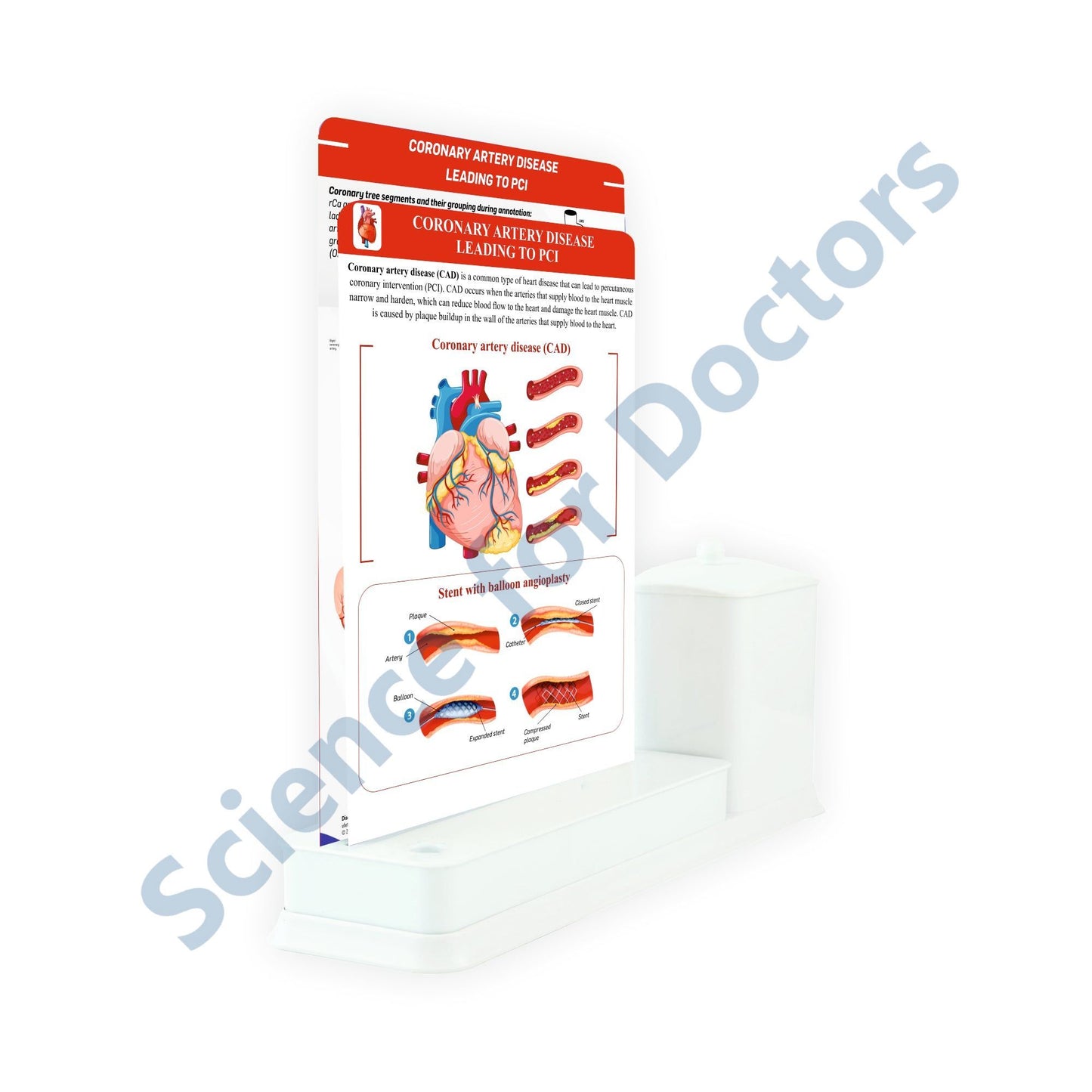 Coronary Artery Disease Leading to PCI - 2 Slides Write and Wipe with Utility Container